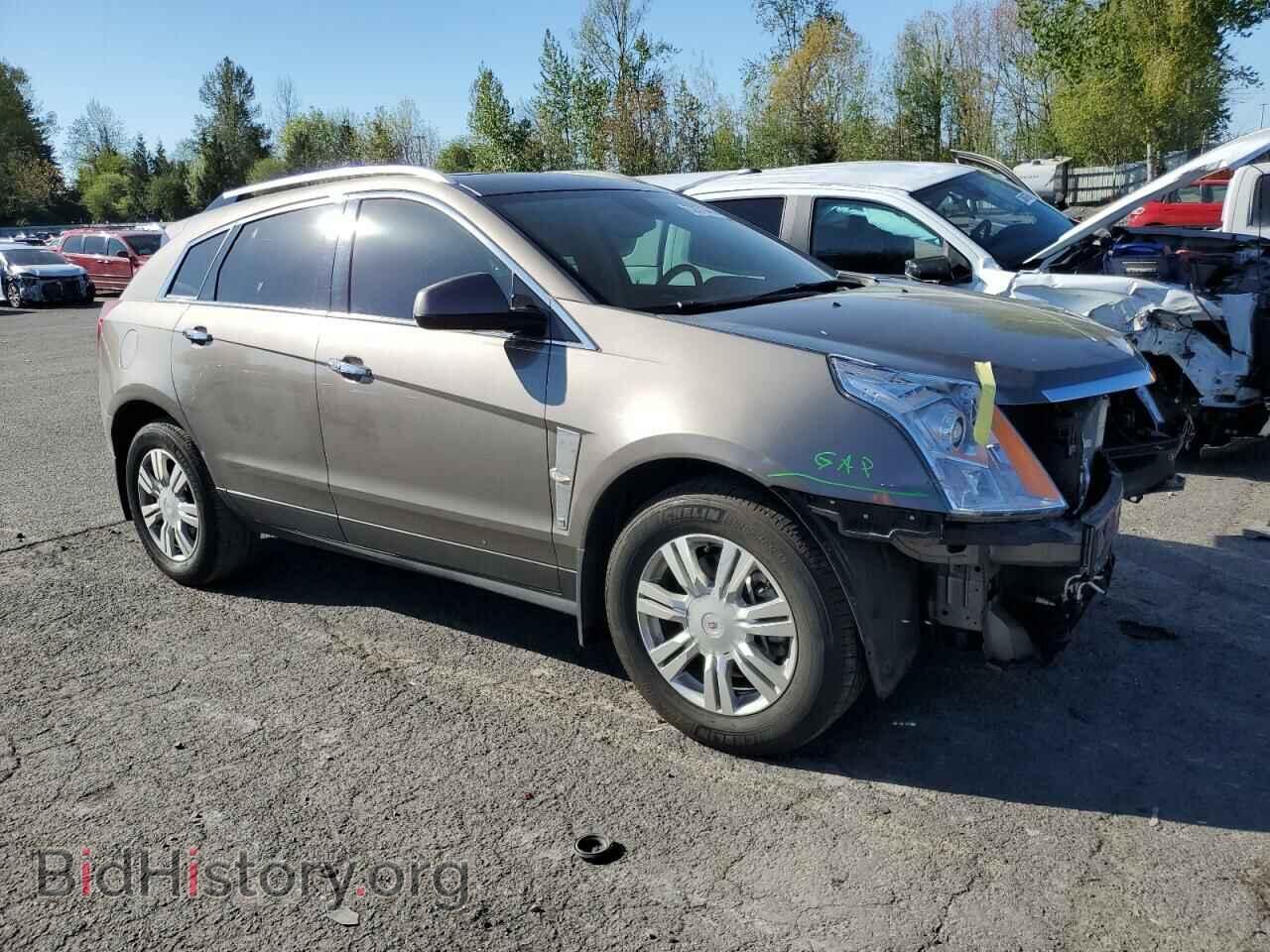 2011 CADILLAC SRX - VIN: 3GYFNDEY1BS648146 - Фото 4