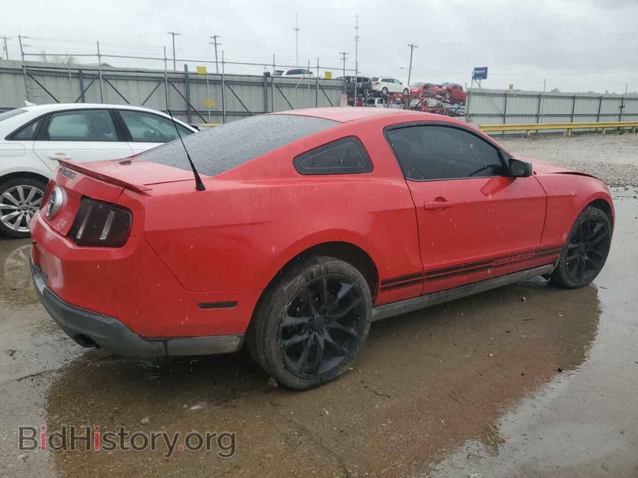 2010 FORD ALL Models - VIN: 1ZVBP8AN5A5137207 - Фото 3