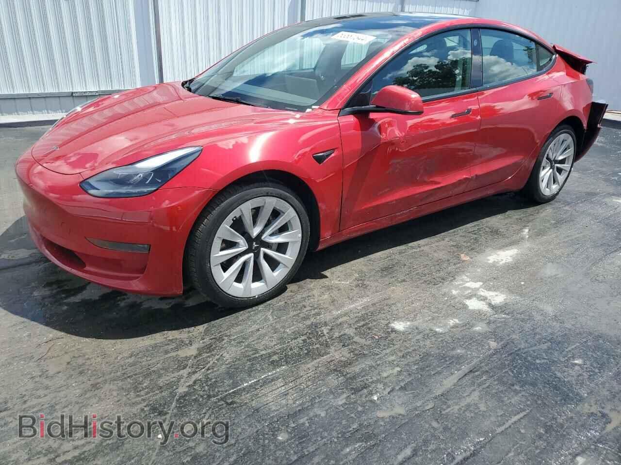 Фотография 5YJ3E1EA3PF433443 - TESLA MODEL 3 2023