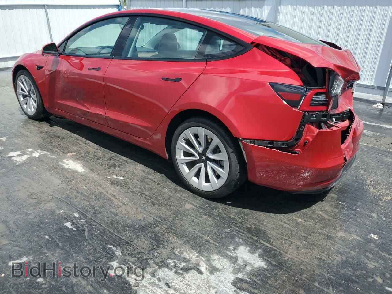 2023 TESLA MODEL 3 - VIN: 5YJ3E1EA3PF433443 - Фото 2