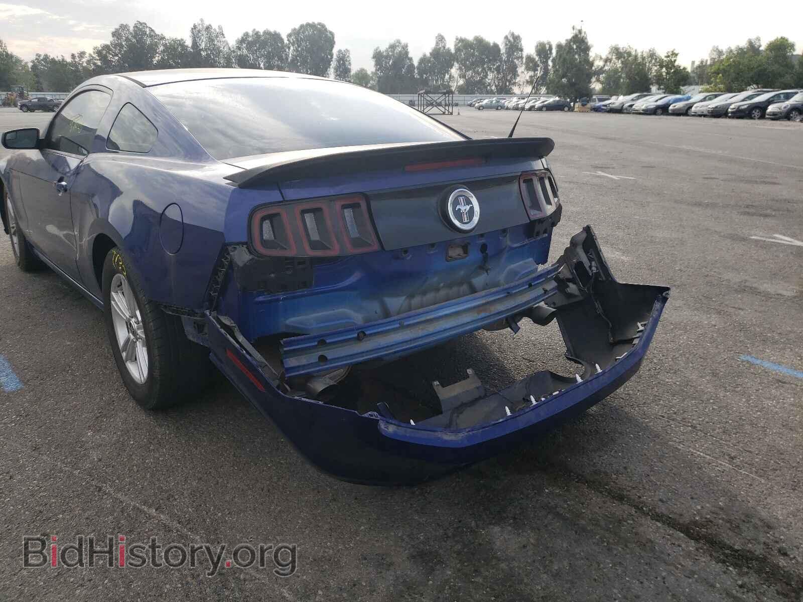 2014 FORD MUSTANG - VIN: 1ZVBP8AM3E5254801 - Фото 9