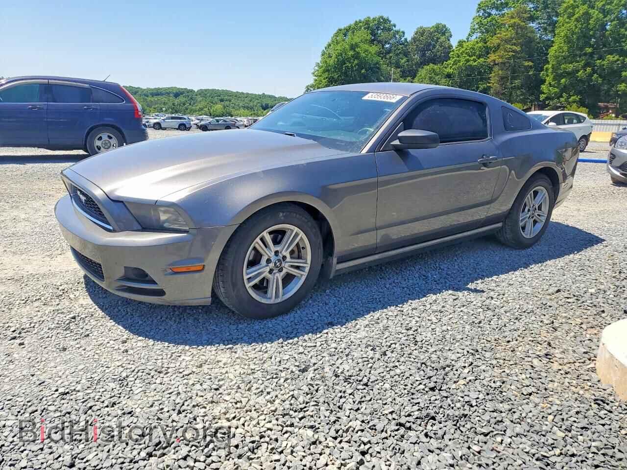 Photo 1ZVBP8AM9E5259386 - FORD MUSTANG 2014