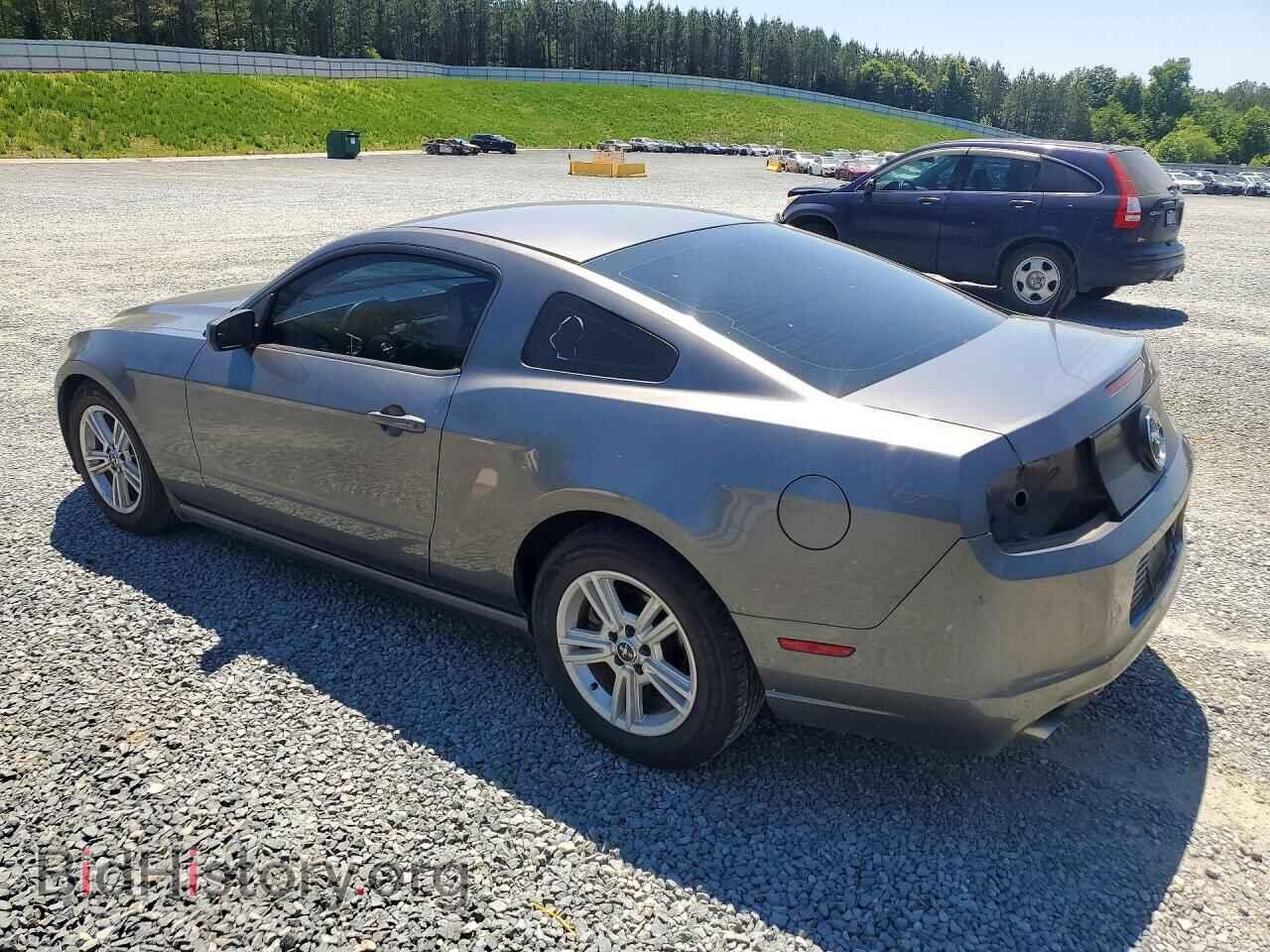 2014 FORD MUSTANG - VIN: 1ZVBP8AM9E5259386 - Photo 2