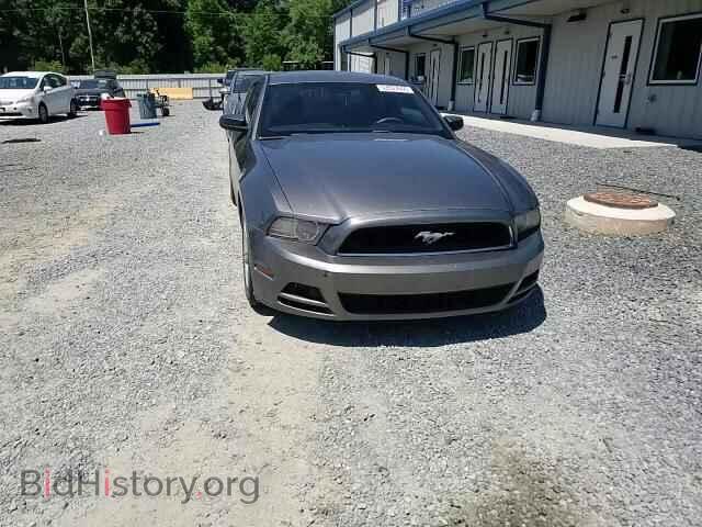 2014 FORD MUSTANG - VIN: 1ZVBP8AM9E5259386 - Photo 13