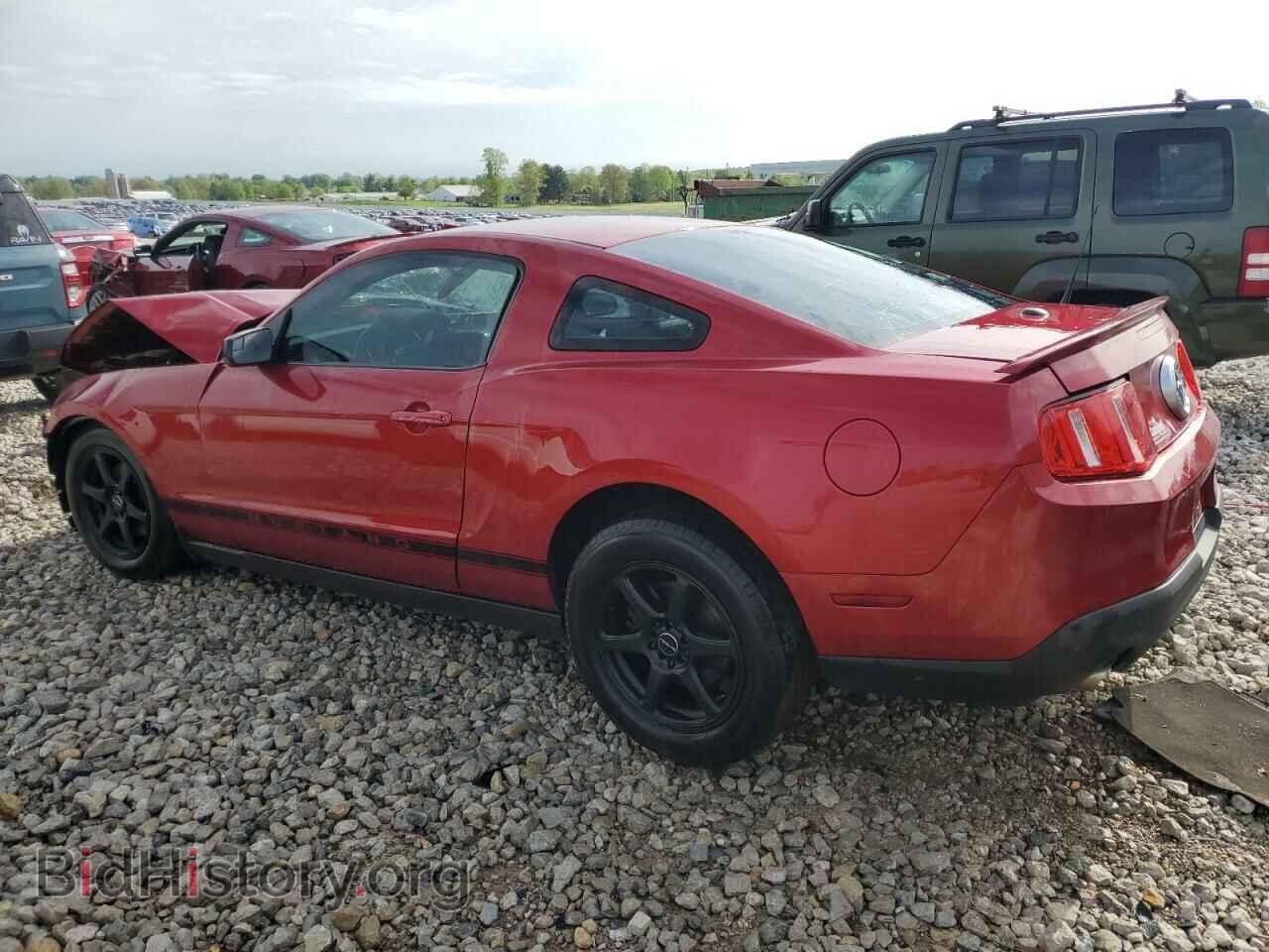 2012 FORD ALL Models - VIN: 1ZVBP8AM2C5208096 - Фото 2