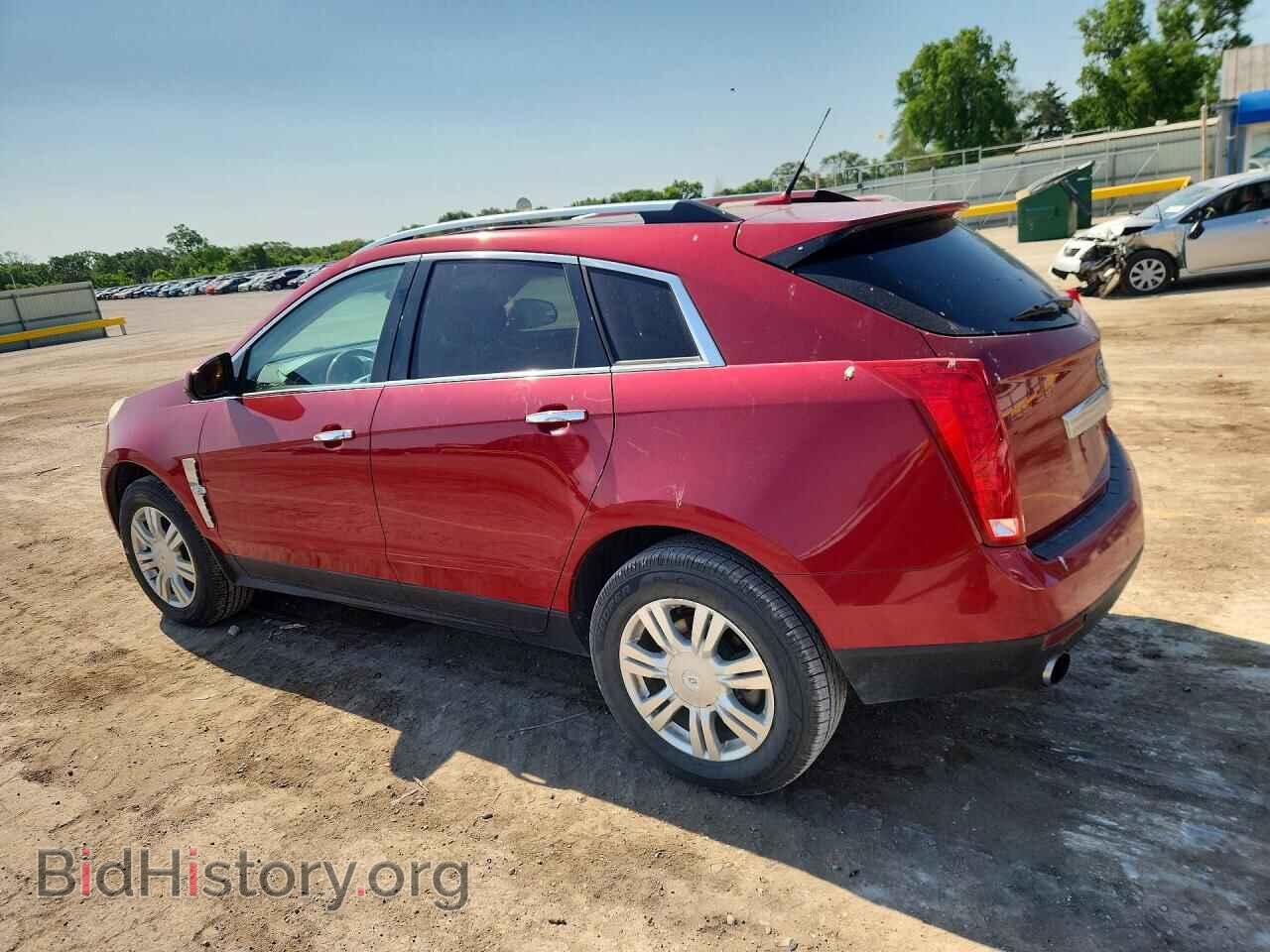 2010 CADILLAC SRX - VIN: 3GYFNDEY8AS608578 - Фото 2