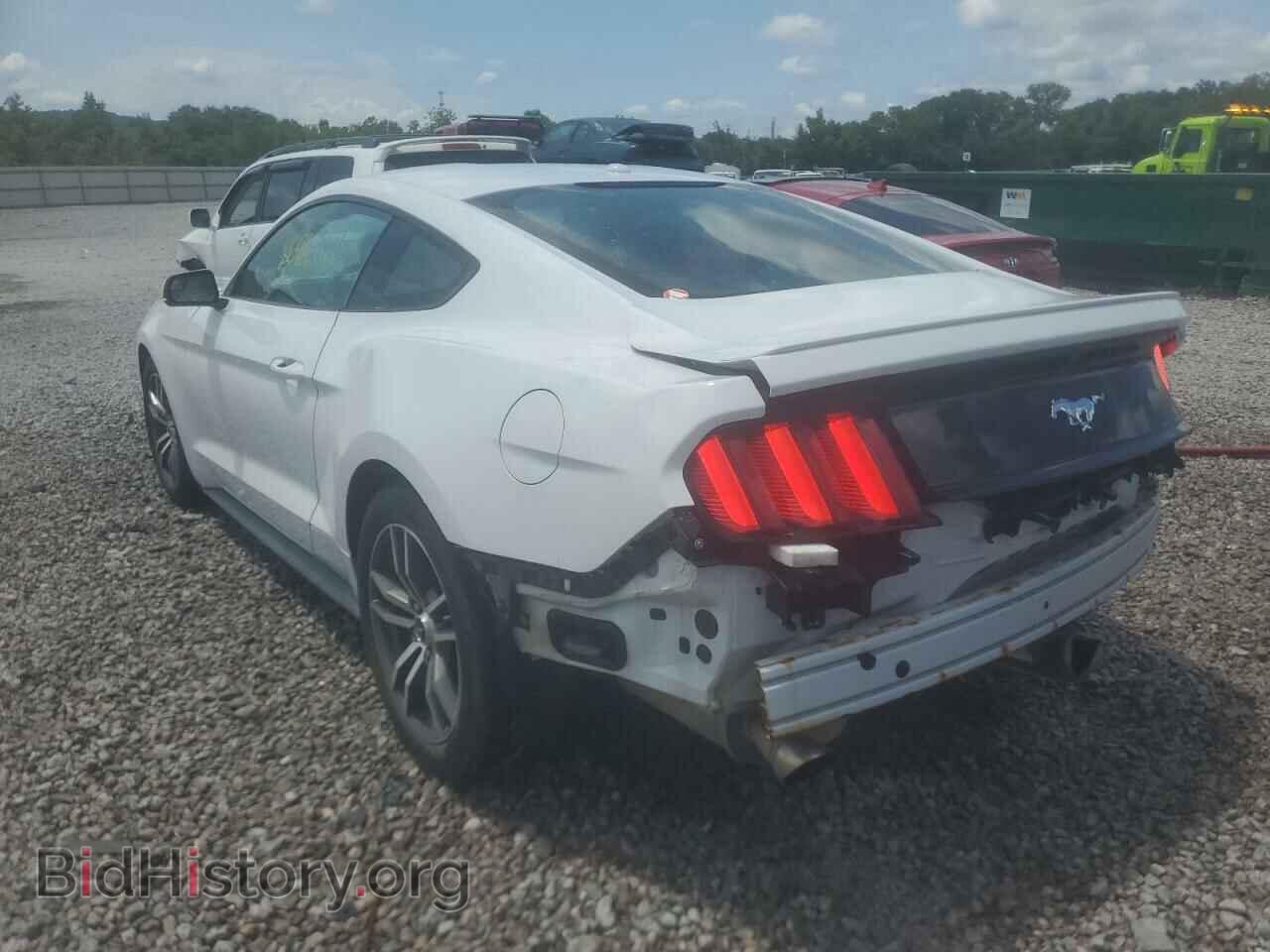 2017 FORD MUSTANG - VIN: 1FA6P8TH2H5307664 - Фото 3