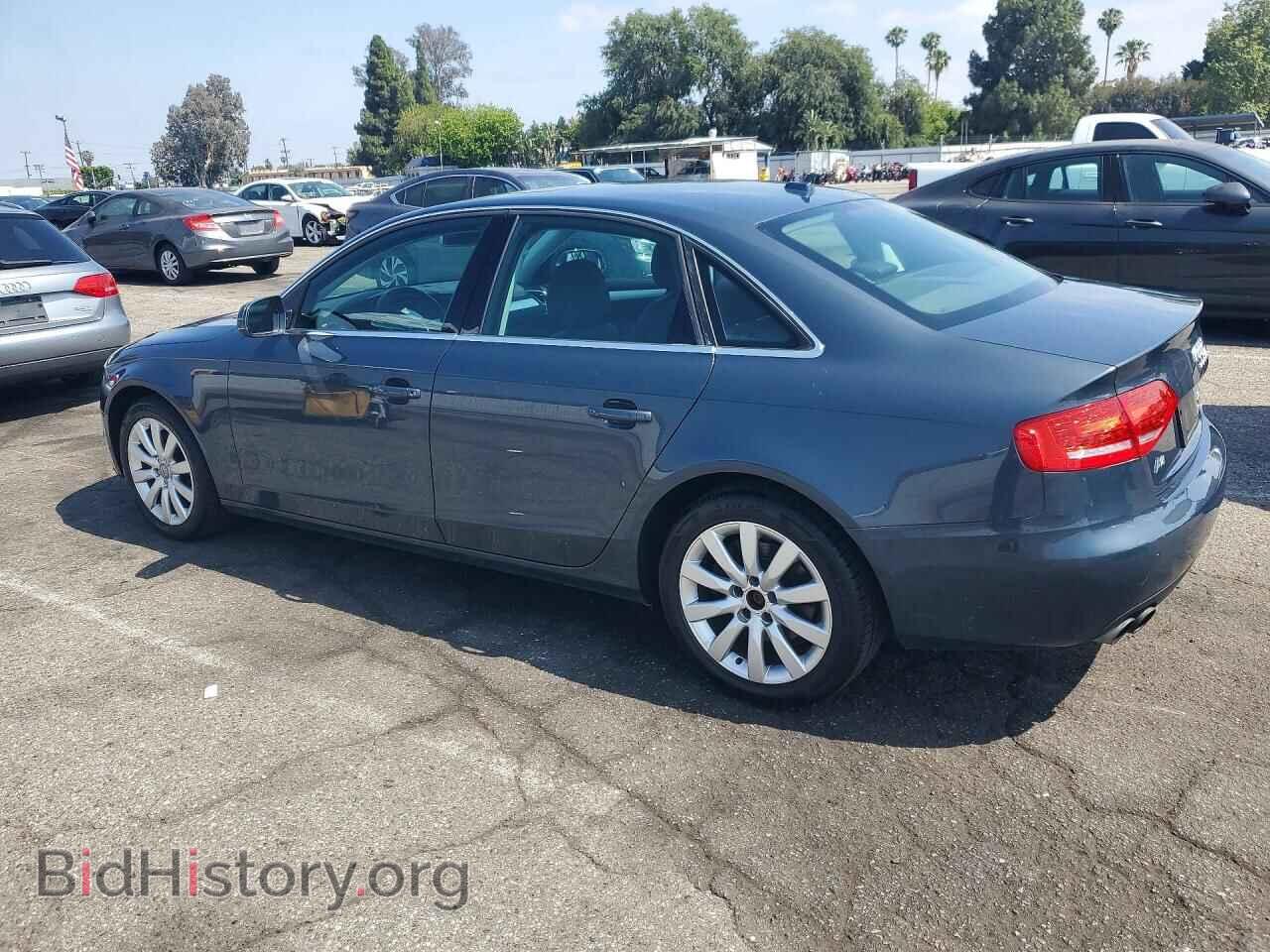 2010 AUDI A4 - VIN: WAUHFAFL5AN028743 - Фото 2