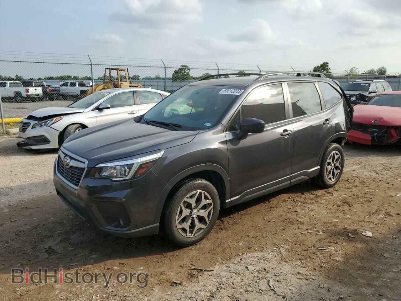 Фотография JF2SKAGC8KH515696 - SUBARU FORESTER 2019