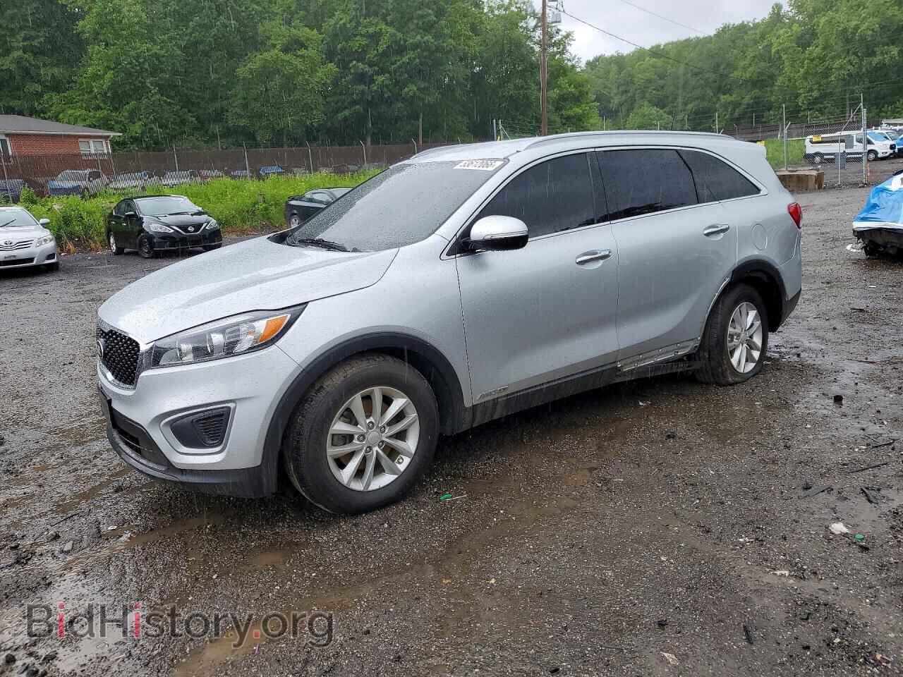 Фотография 5XYPGDA52HG315531 - KIA SORENTO 2017