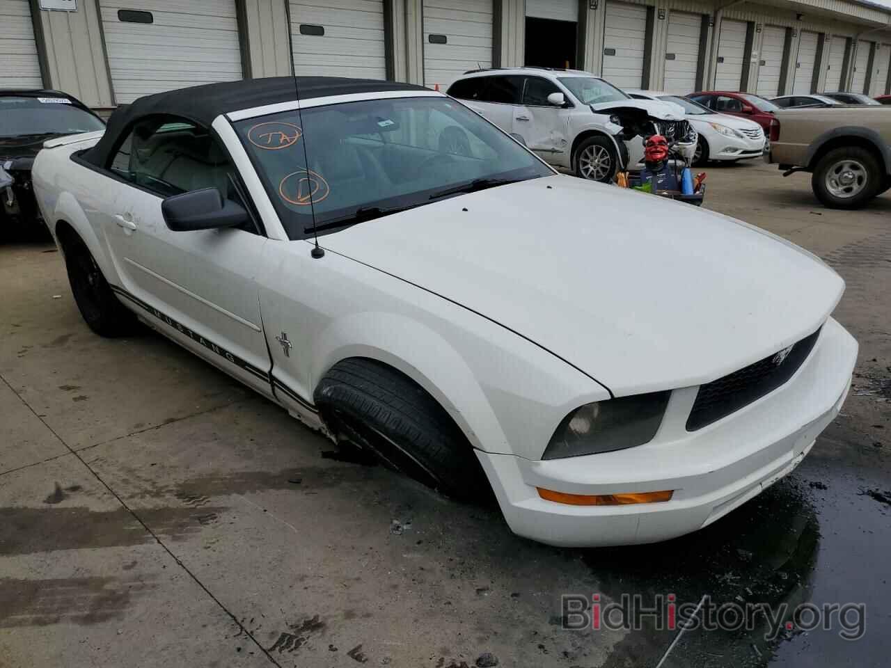 Photo 1ZVHT84N685134585 - FORD MUSTANG 2008