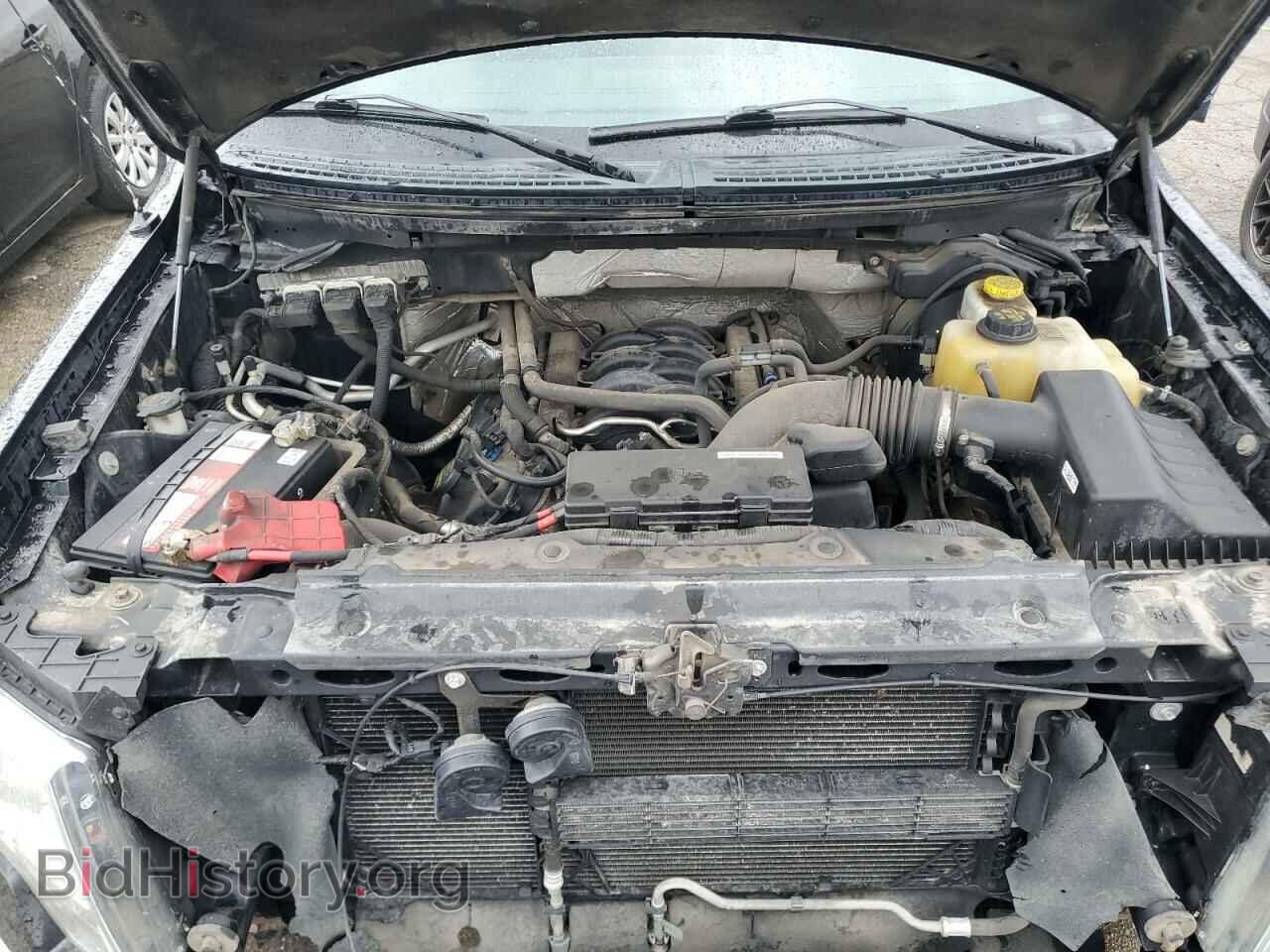 2014 FORD F-150 - VIN: 1FTFW1EFXEFA80262 - Фото 11