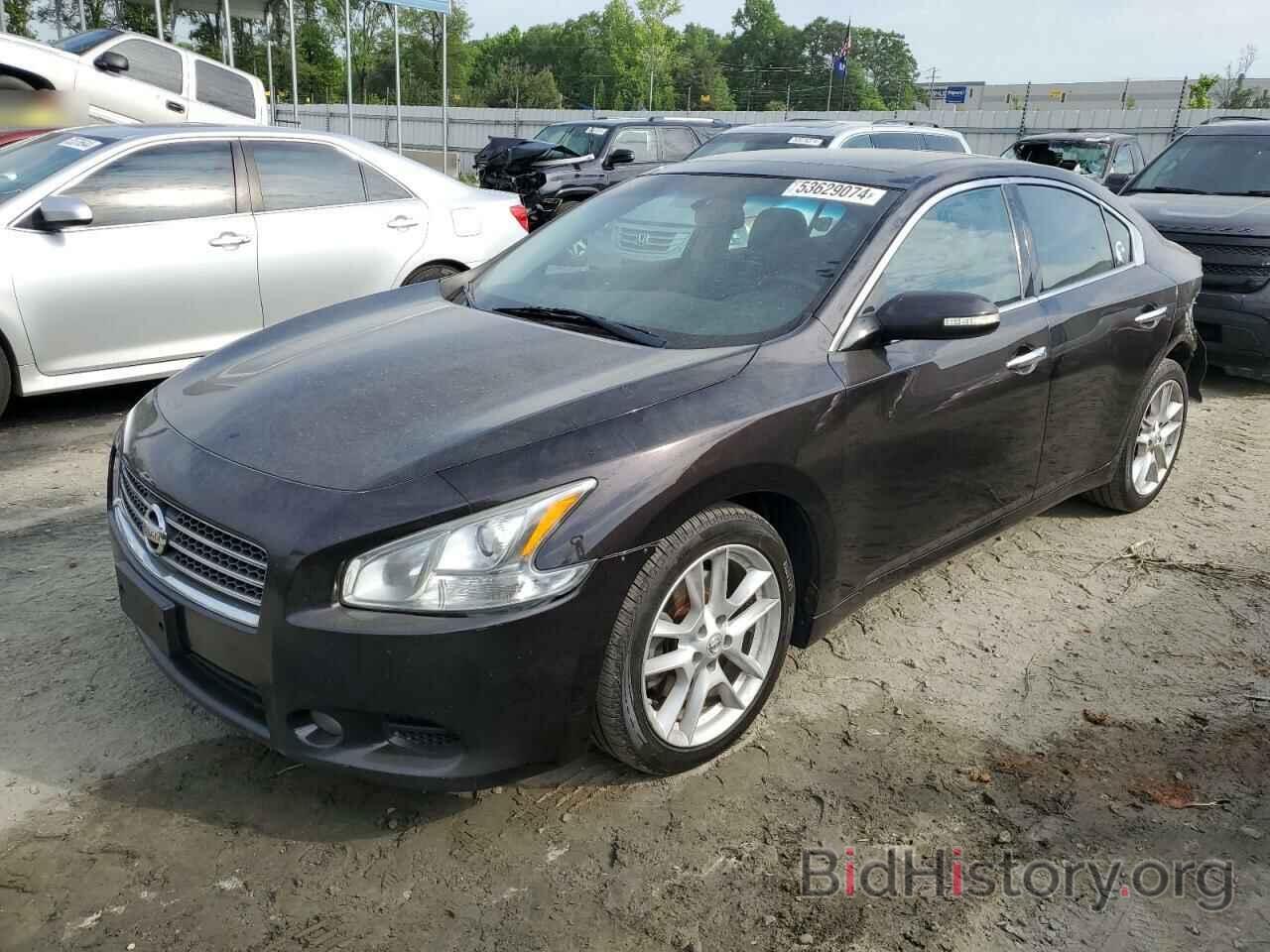 Photo 1N4AA5AP1BC844436 - NISSAN MAXIMA 2011