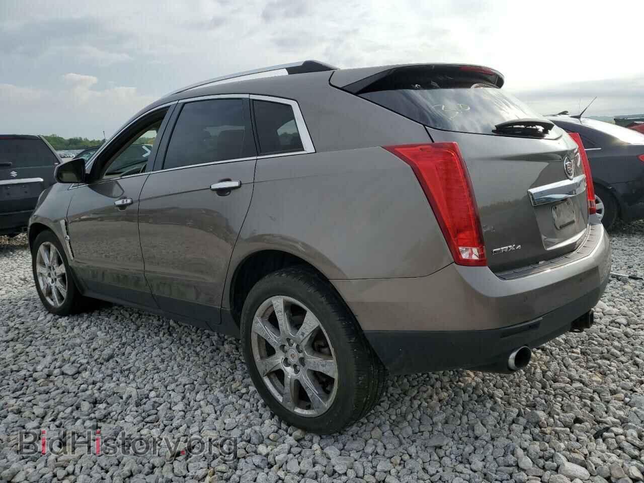 2011 CADILLAC SRX - VIN: 3GYFNEEY4BS551075 - Фото 2