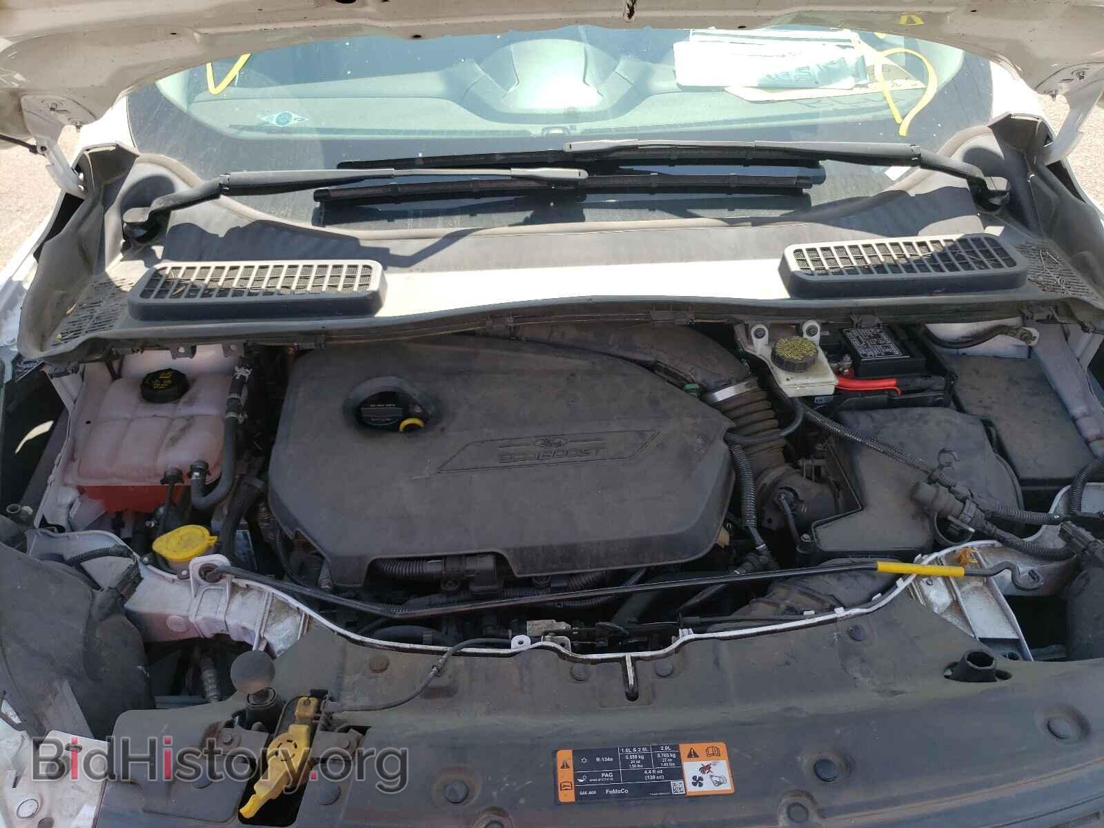 2014 FORD ESCAPE - VIN: 1FMCU0GX5EUC60975 - Фото 7