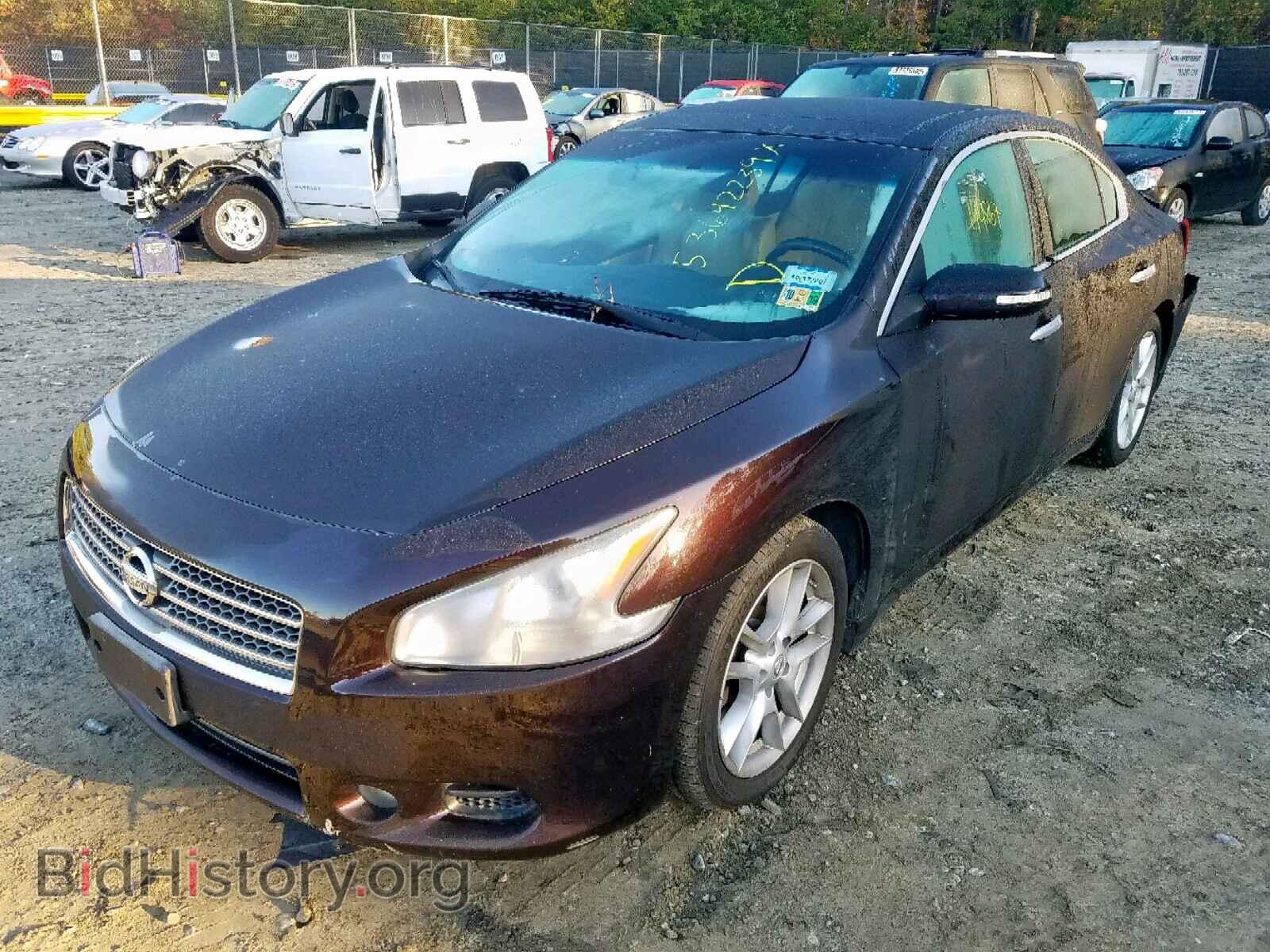2010 NISSAN MAXIMA S - VIN: 1N4AA5AP4AC828701 - Фото 2