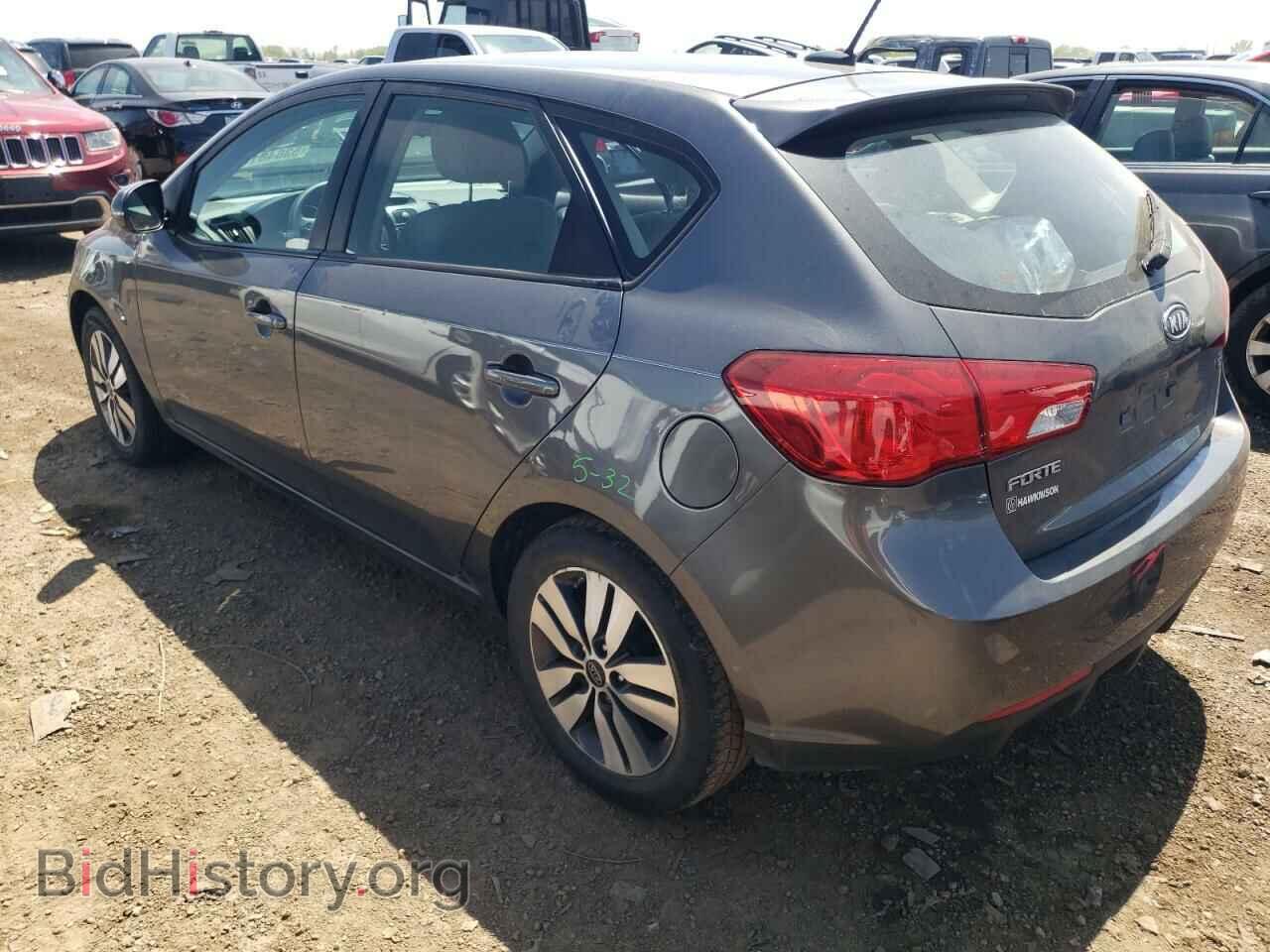2013 KIA FORTE - VIN: KNAFU5A28D5687181 - Фото 2