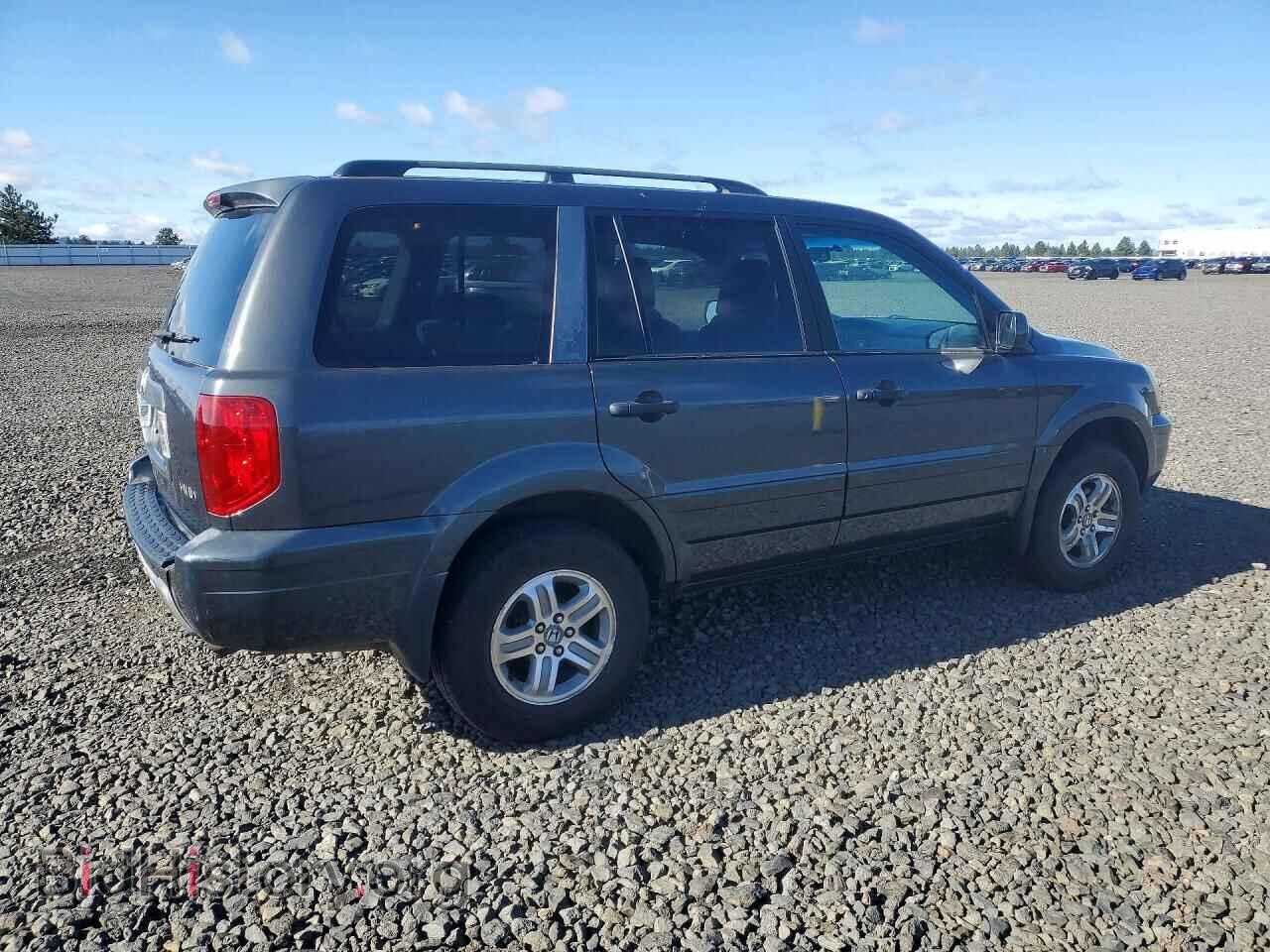 2005 HONDA PILOT - VIN: 2HKYF18455H552215 - Фото 3