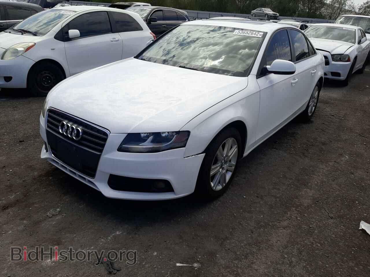 2011 AUDI A4 - VIN: WAUAFAFL6BN054691 - Фото 2