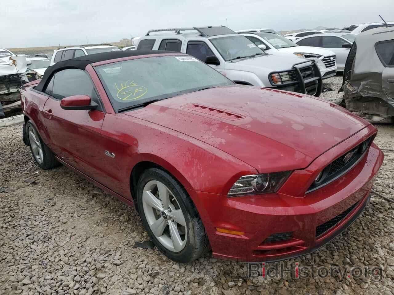 Photo 1ZVBP8FF2E5310172 - FORD MUSTANG 2014