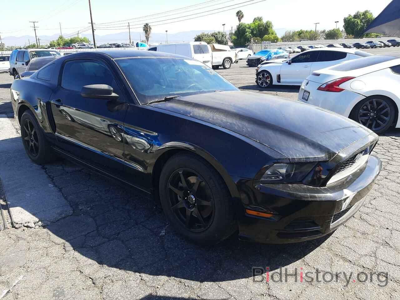 Photo 1ZVBP8AM1D5275497 - FORD MUSTANG 2013