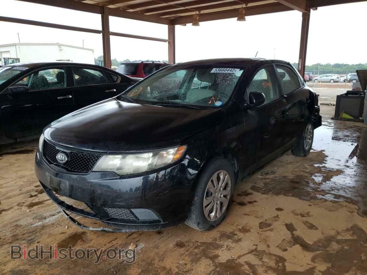 2010 KIA FORTE - VIN: KNAFT4A22A5307521 - Фото 2