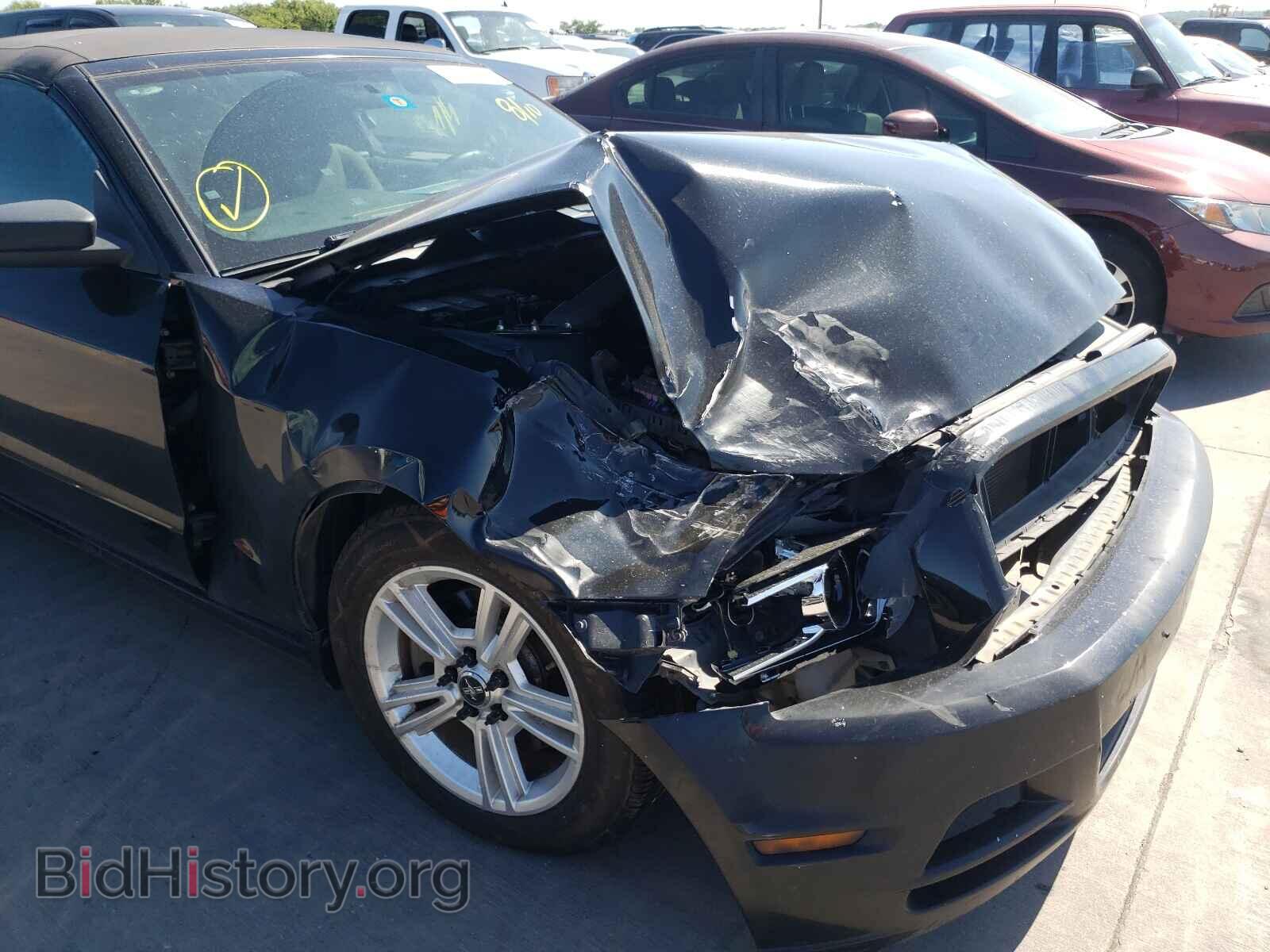2013 FORD MUSTANG - VIN: 1ZVBP8EM1D5203743 - Фото 9