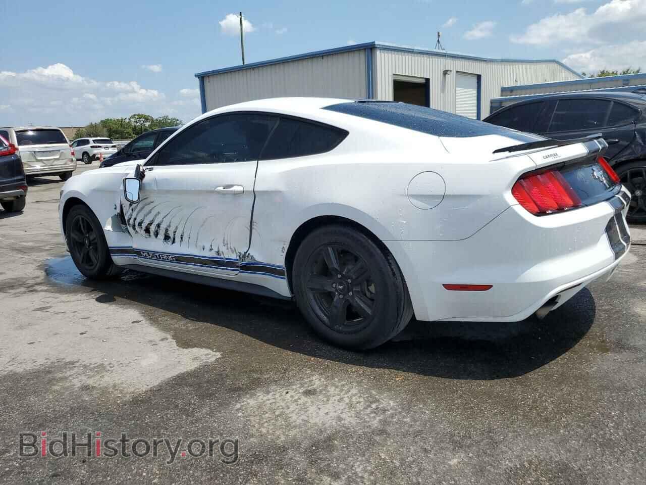 2017 FORD ALL Models - VIN: 1FA6P8AM4H5228433 - Photo 2