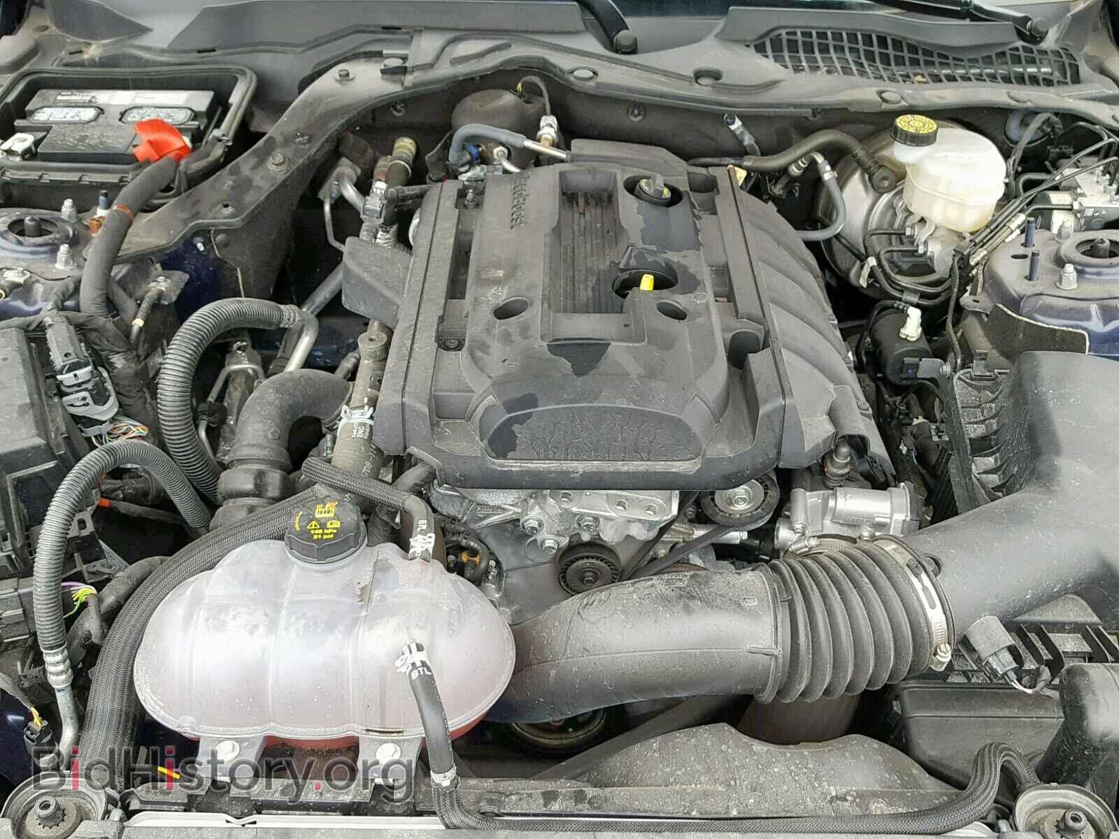 2019 FORD MUSTANG - VIN: 1FA6P8TH2K5110176 - Photo 7