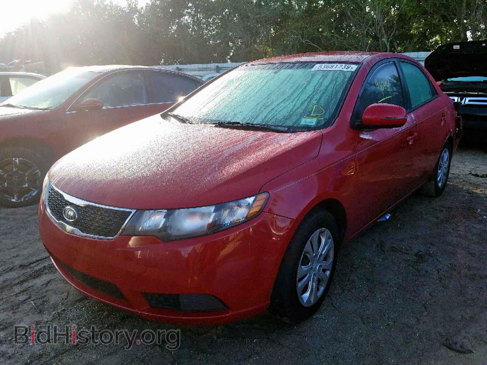 2013 KIA FORTE - VIN: KNAFU4A23D5735566 - Фото 2