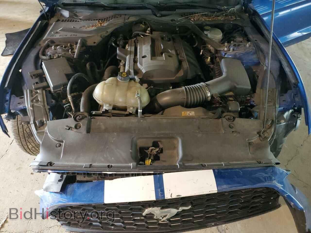 2017 FORD ALL Models - VIN: 1FA6P8TH3H5229427 - Photo 11