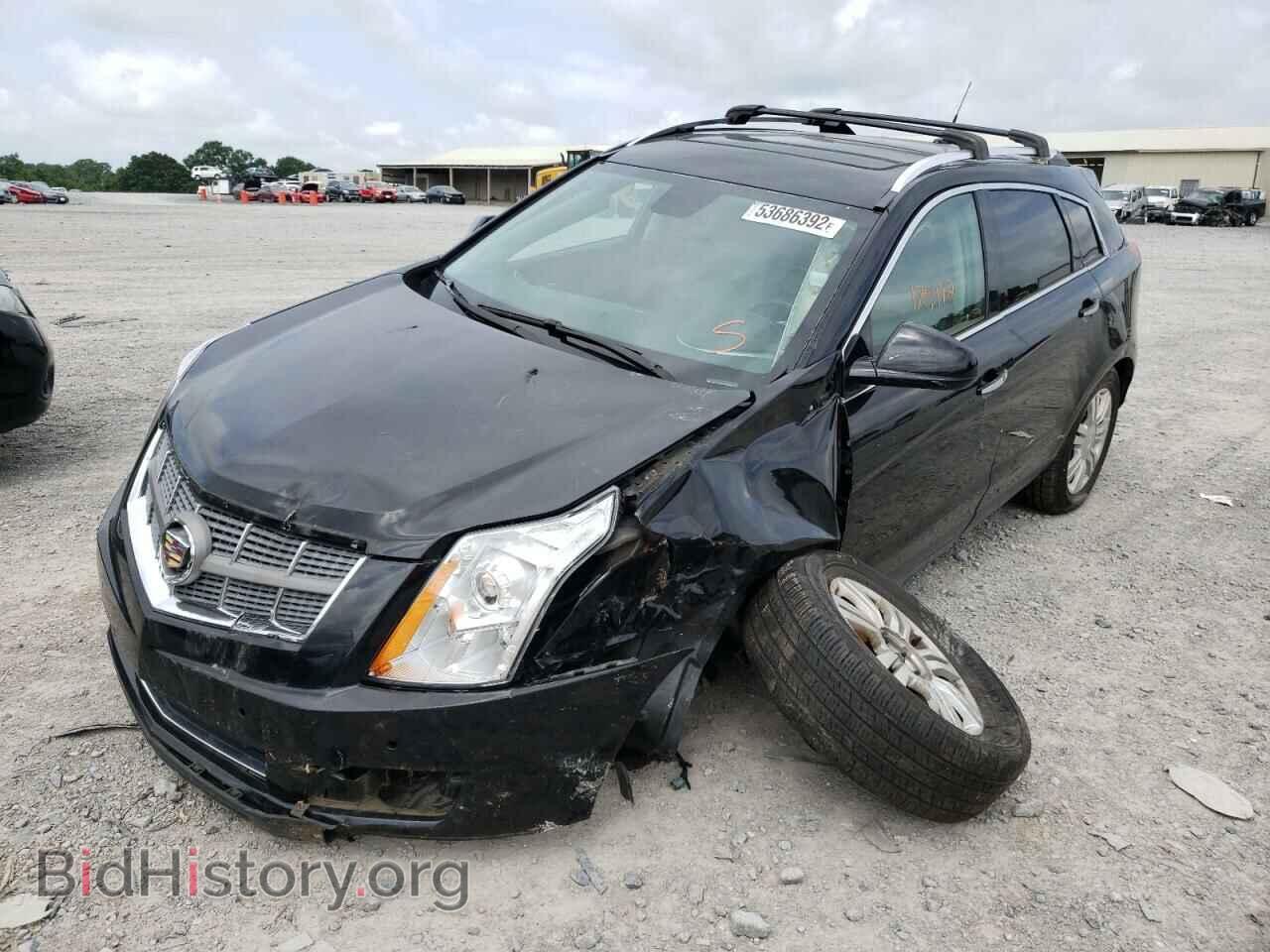 2011 CADILLAC SRX - VIN: 3GYFNAEY6BS515445 - Фото 2