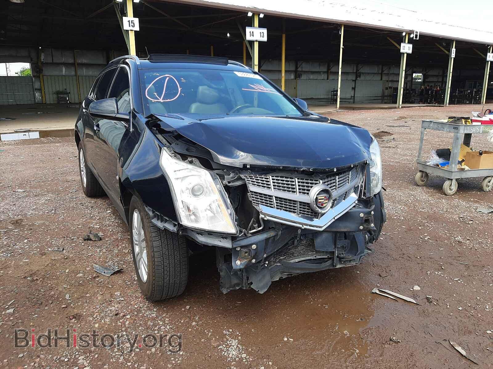 Photo 3GYFNAEY7BS537793 - CADILLAC SRX 2011