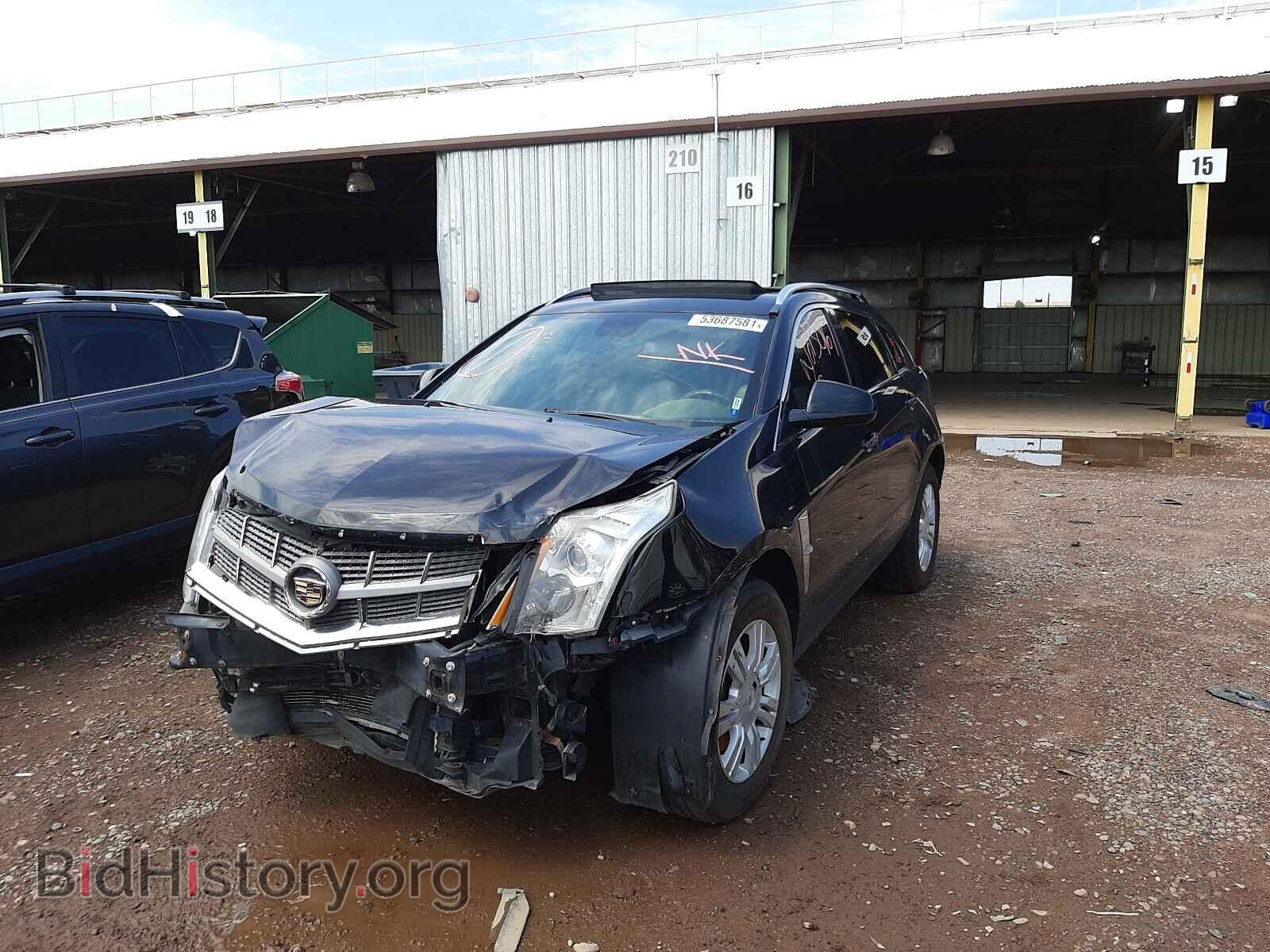 2011 CADILLAC SRX - VIN: 3GYFNAEY7BS537793 - Фото 2