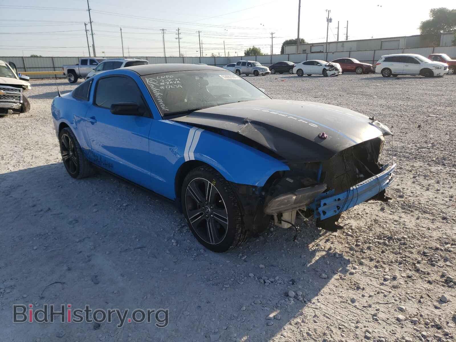 Фотография 1ZVBP8AM4E5255908 - FORD MUSTANG 2014