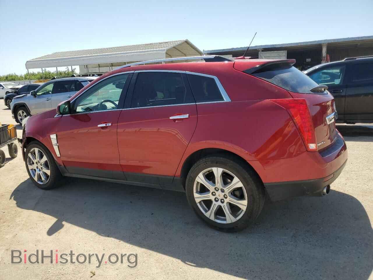 2012 CADILLAC SRX - VIN: 3GYFNFE32CS644155 - Фото 2