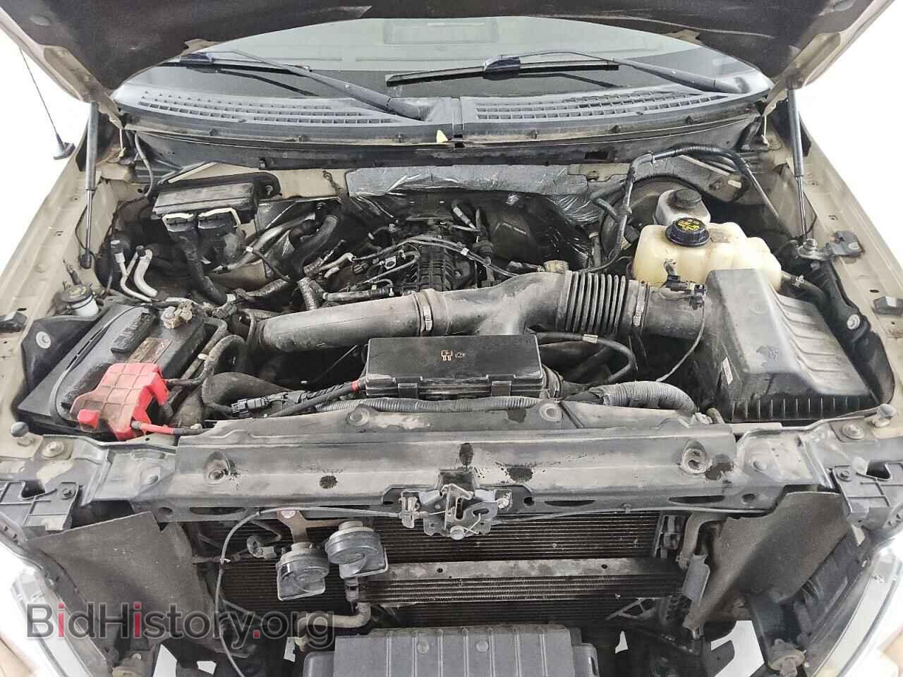 2012 FORD F-150 - VIN: 1FTFX1CT4CFA69034 - Фото 11