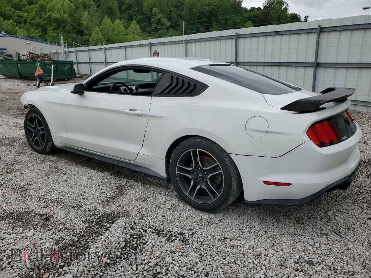 2018 FORD ALL Models - VIN: 1FA6P8TH3J5162401 - Photo 2
