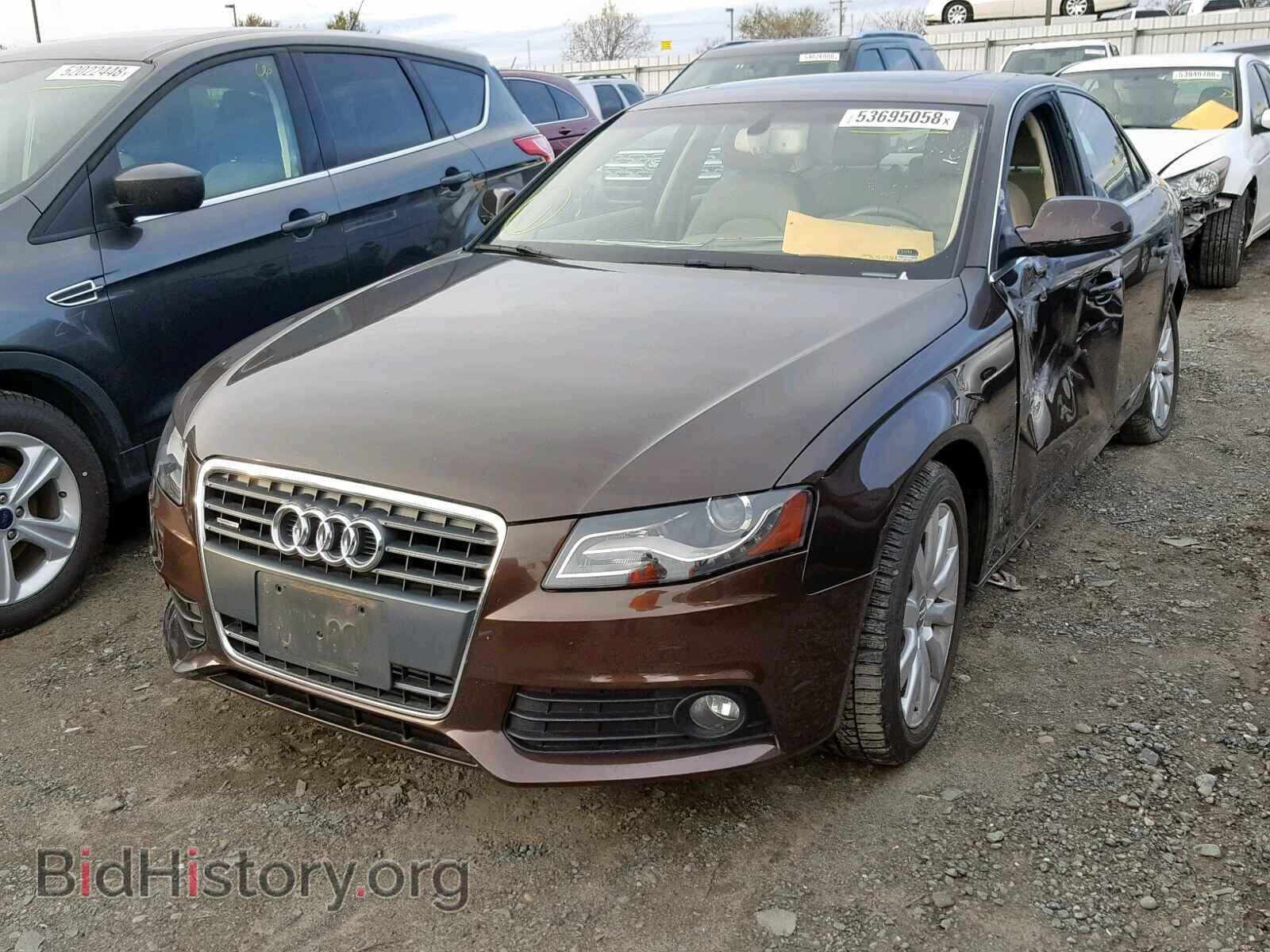 2011 AUDI A4 - VIN: WAUFFAFL7BN004436 - Фото 2