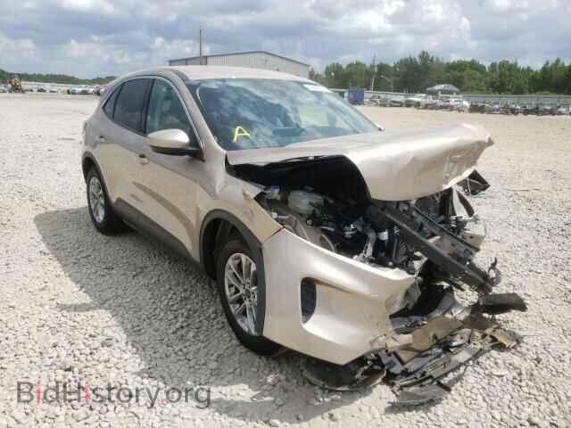 Photo 1FMCU0G62LUA38429 - FORD ESCAPE 2020