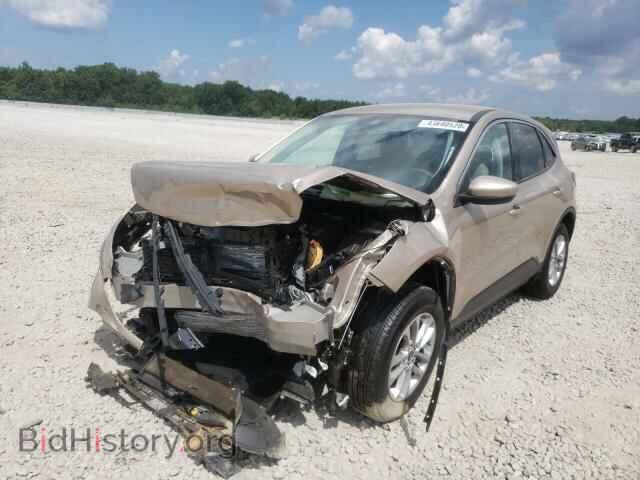 2020 FORD ESCAPE - VIN: 1FMCU0G62LUA38429 - Photo 2