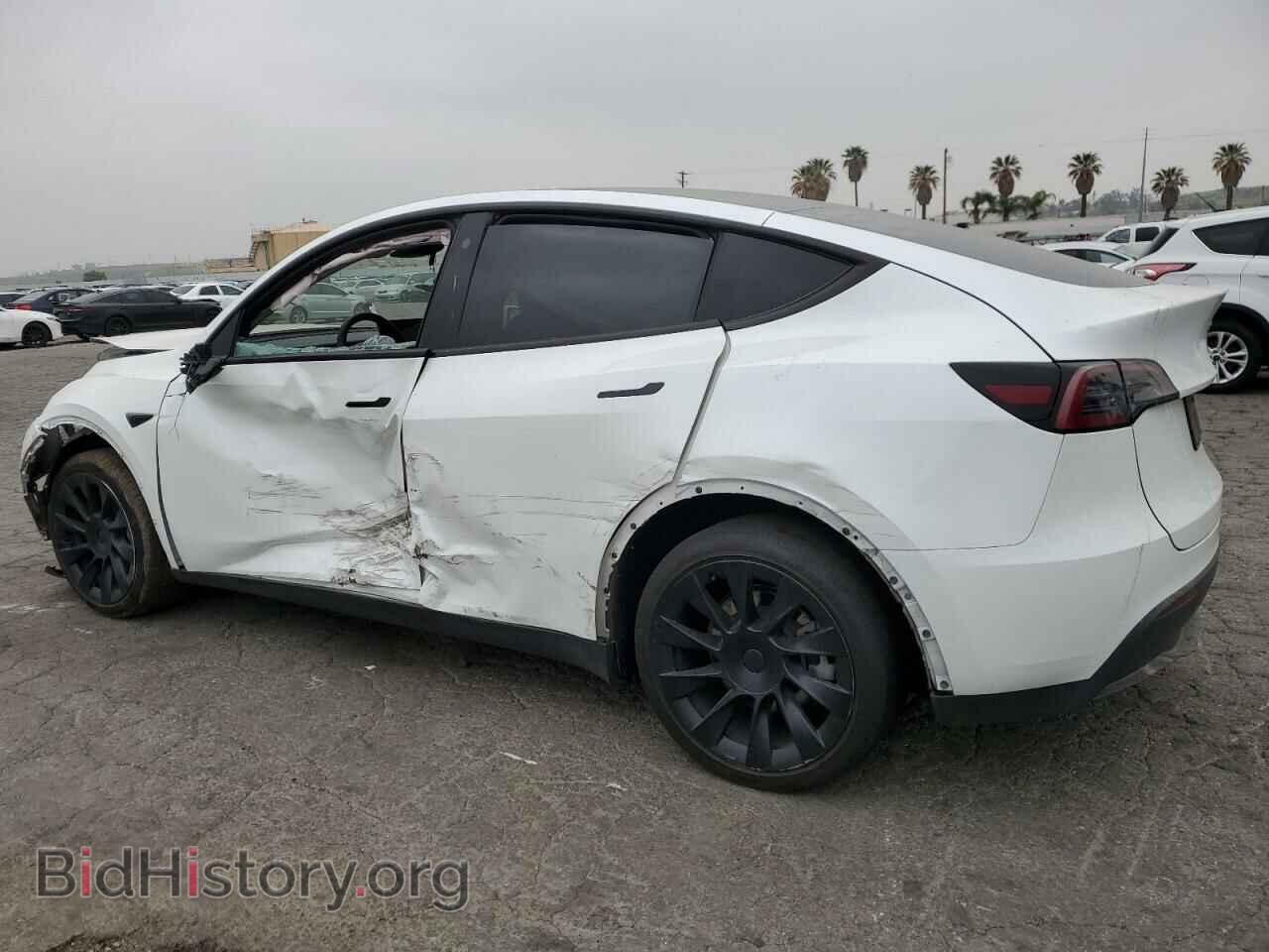 2023 TESLA MODEL Y - VIN: 7SAYGDEEXPA042715 - Фото 2