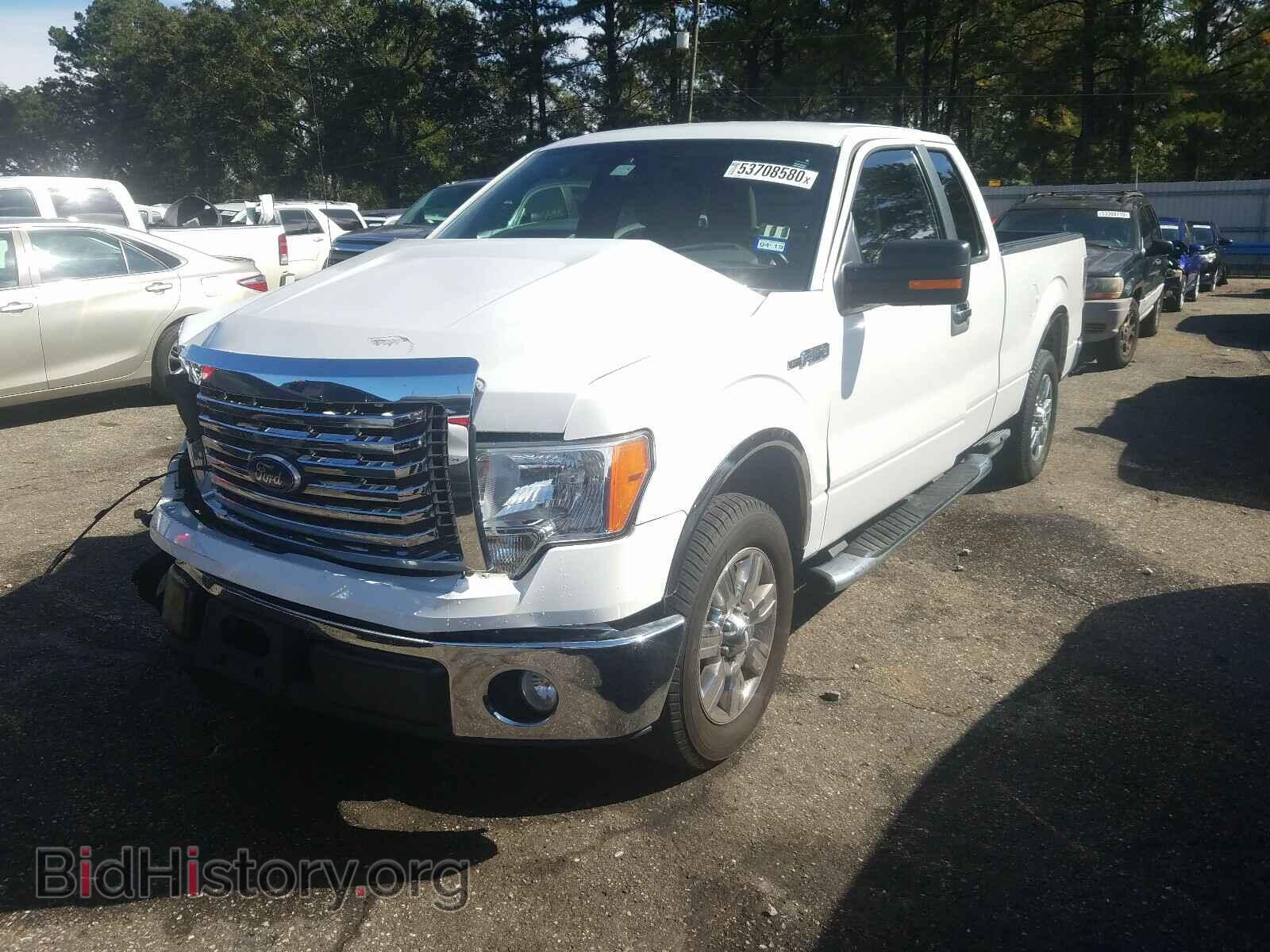 2010 FORD F150 - VIN: 1FTEX1C84AFA32151 - Фото 2