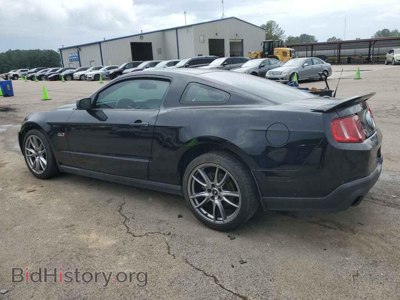 2012 FORD MUSTANG - VIN: 1ZVBP8CF0C5210069 - Фото 2