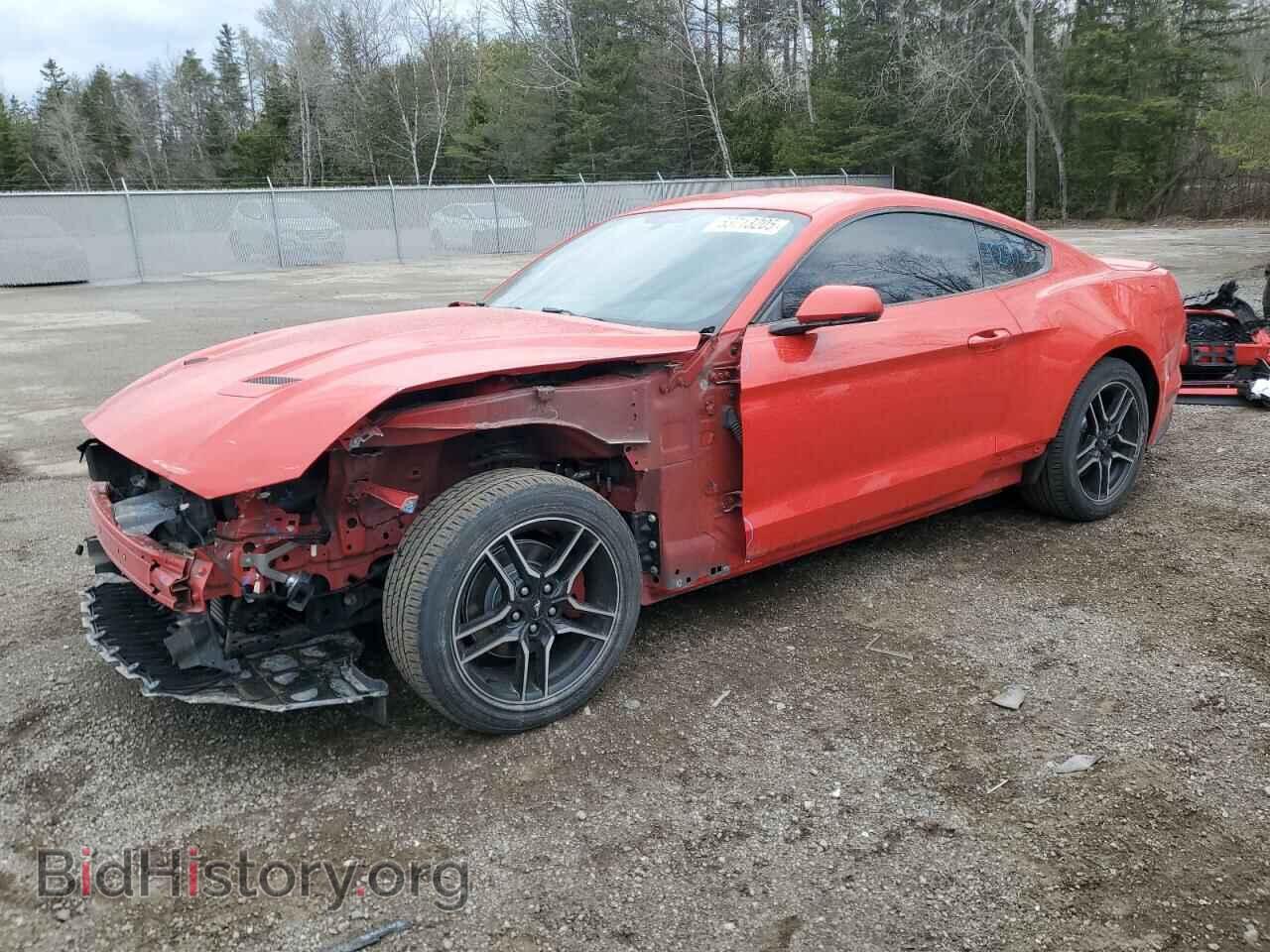 Фотография 1FA6P8TH0K5160008 - FORD ALL Models 2019