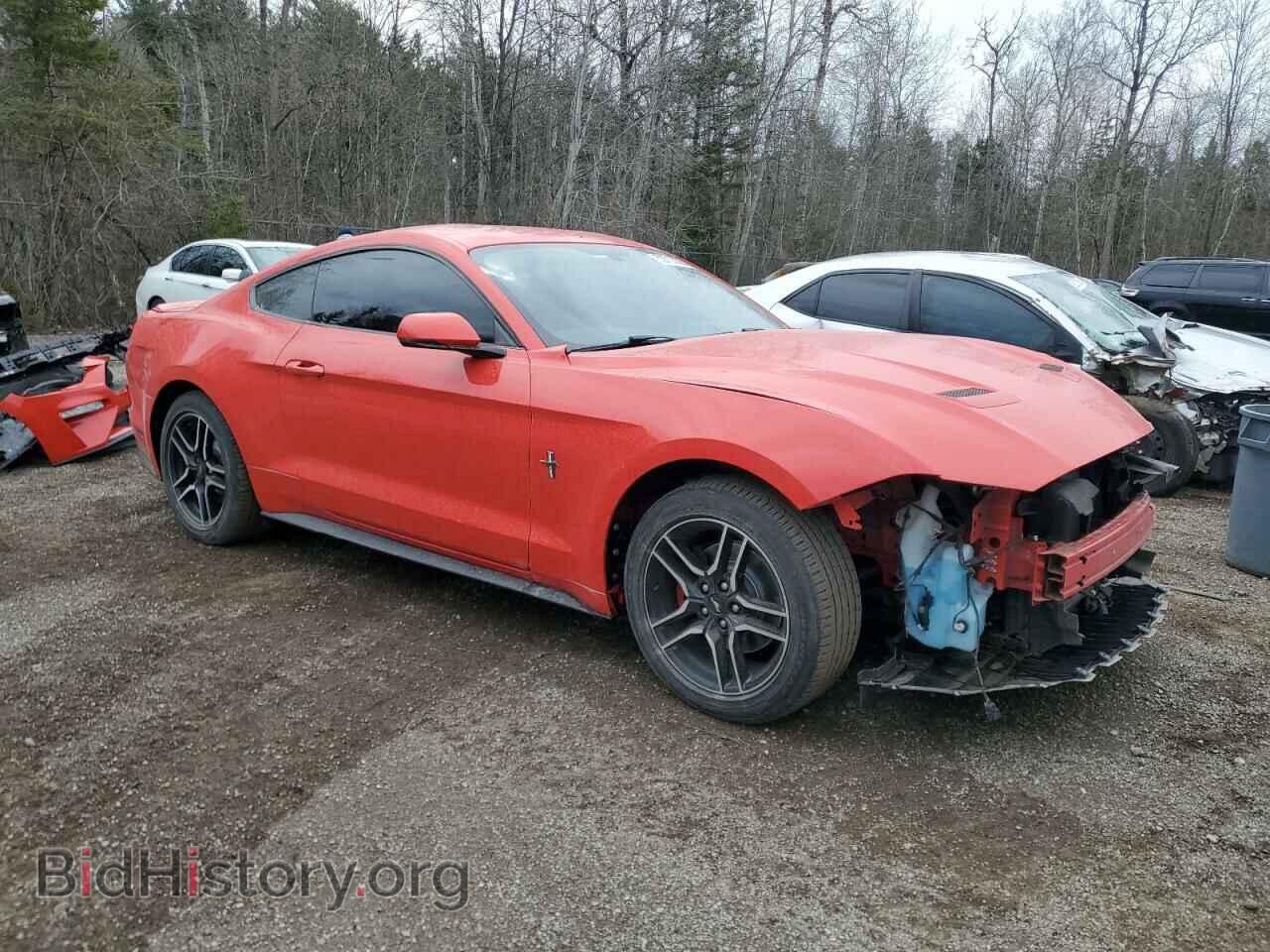 2019 FORD ALL Models - VIN: 1FA6P8TH0K5160008 - Фото 4