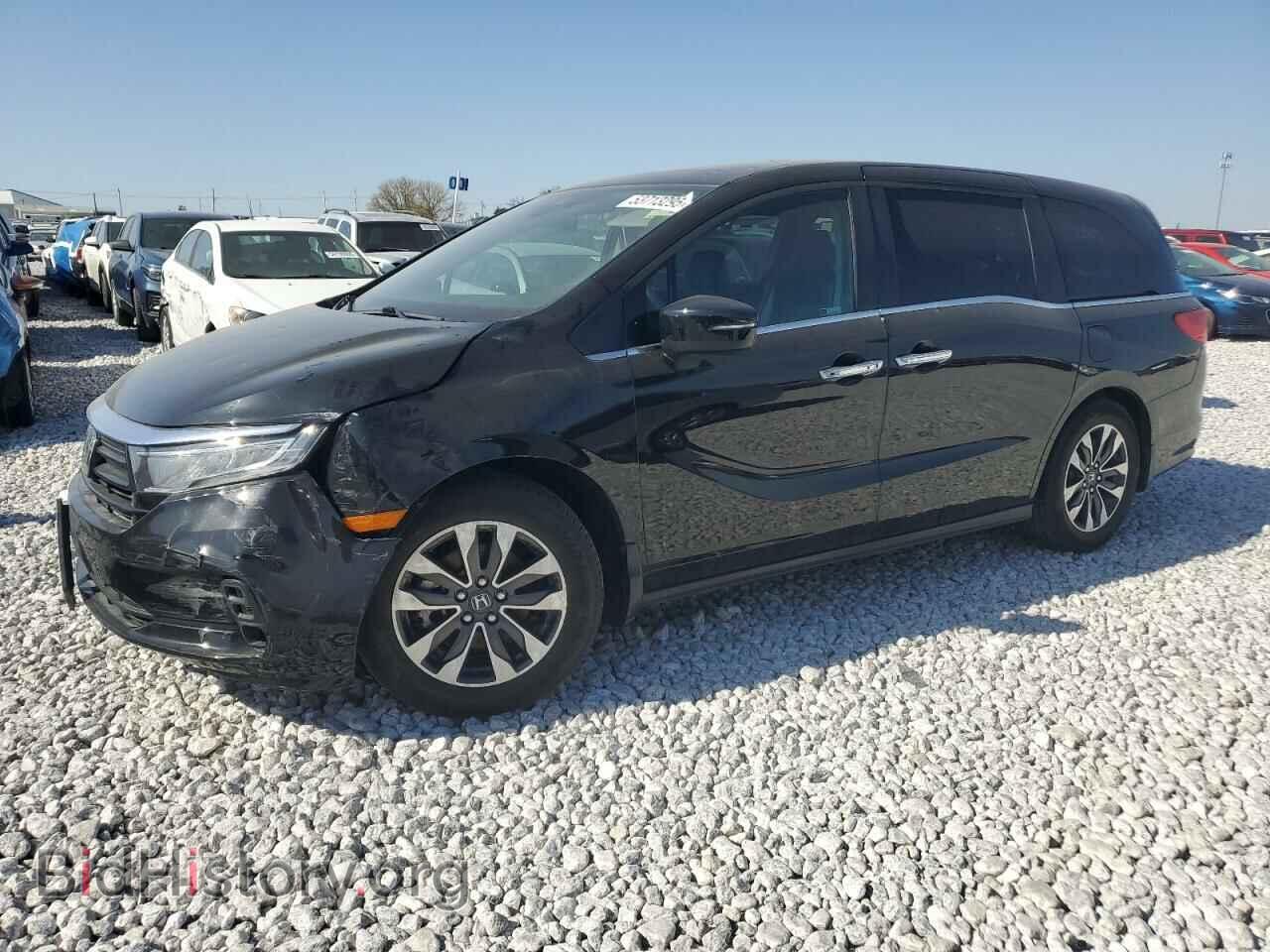 Photo 5FNRL6H76MB031568 - HONDA All Models 2021