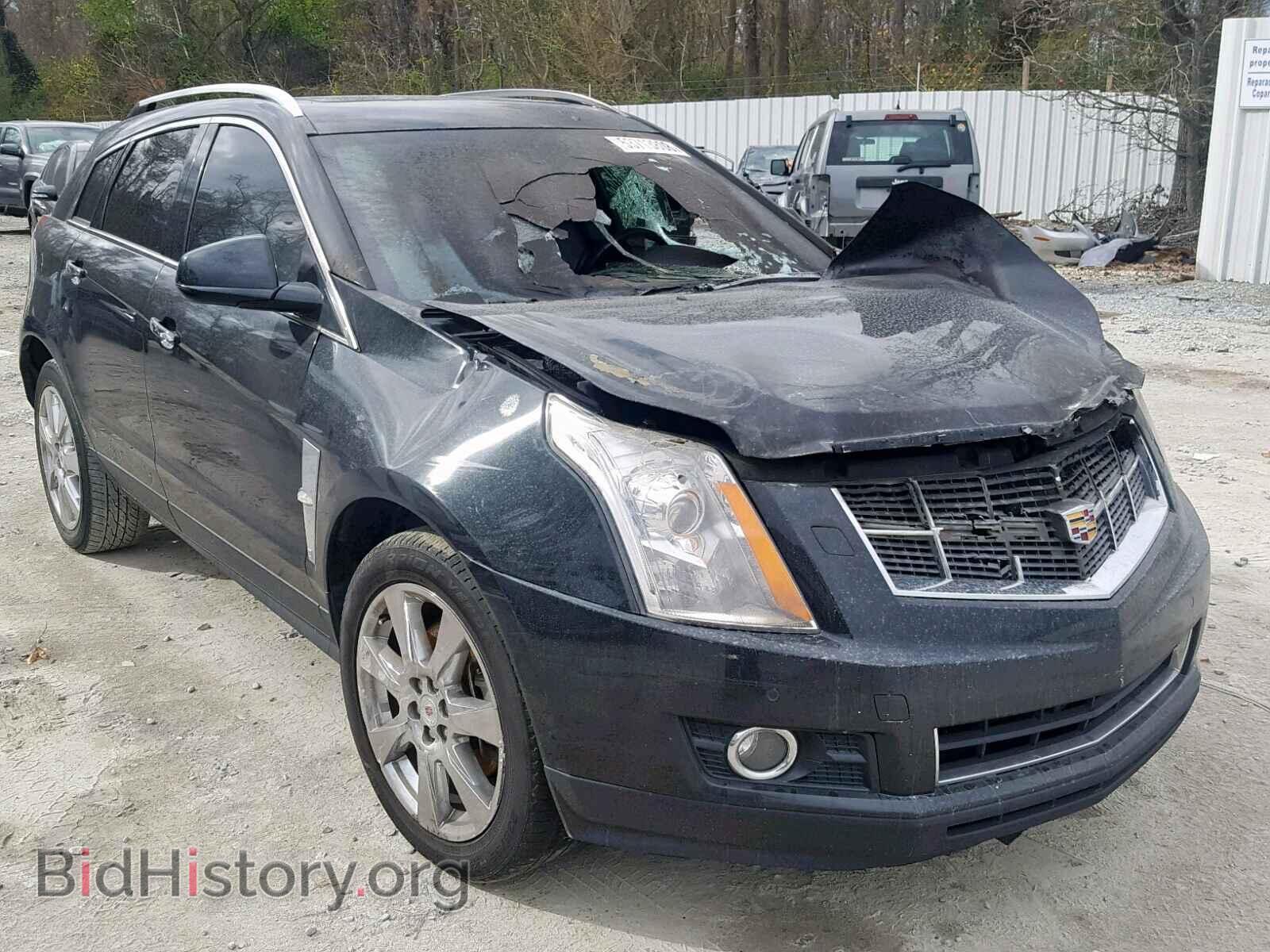 Фотография 3GYFNBEYXBS514983 - CADILLAC SRX PERFOR 2011