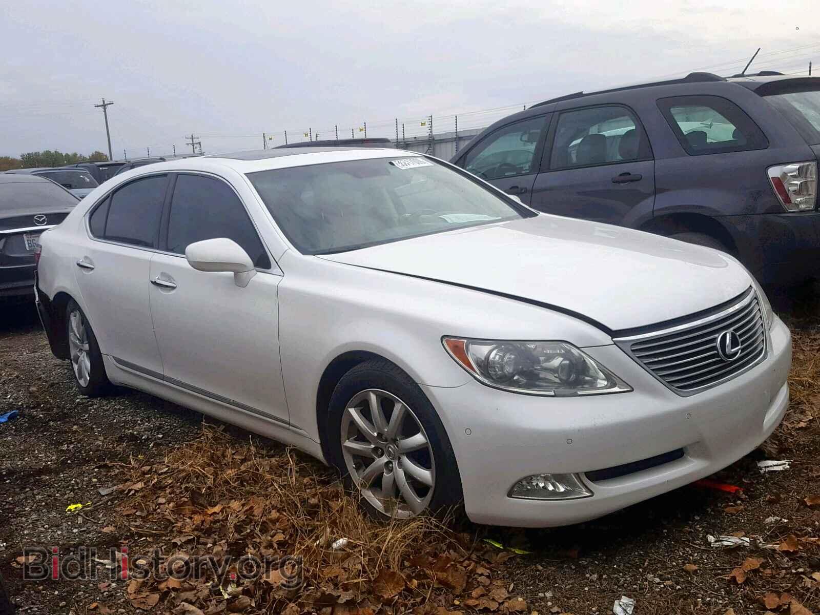Фотография JTHBL46F385059026 - LEXUS LS460 2008