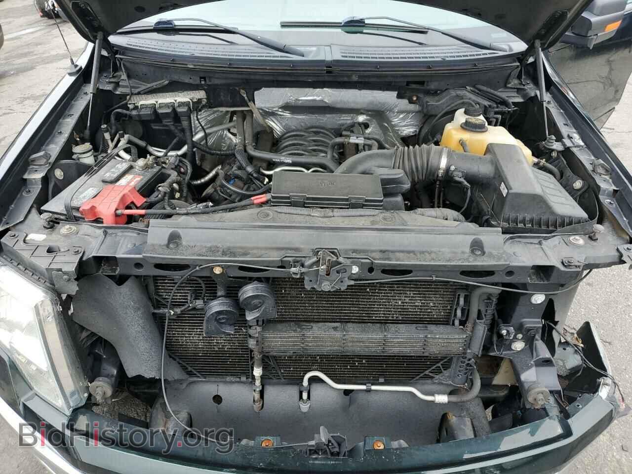 2013 FORD F-150 - VIN: 1FTFX1EF7DFC96386 - Фото 11